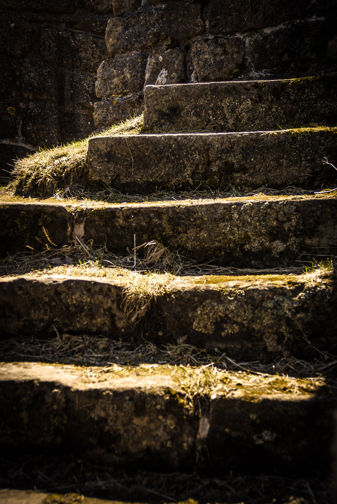 Sony Alpha DSLR-A330 sample photo. Stairway to heaven photography