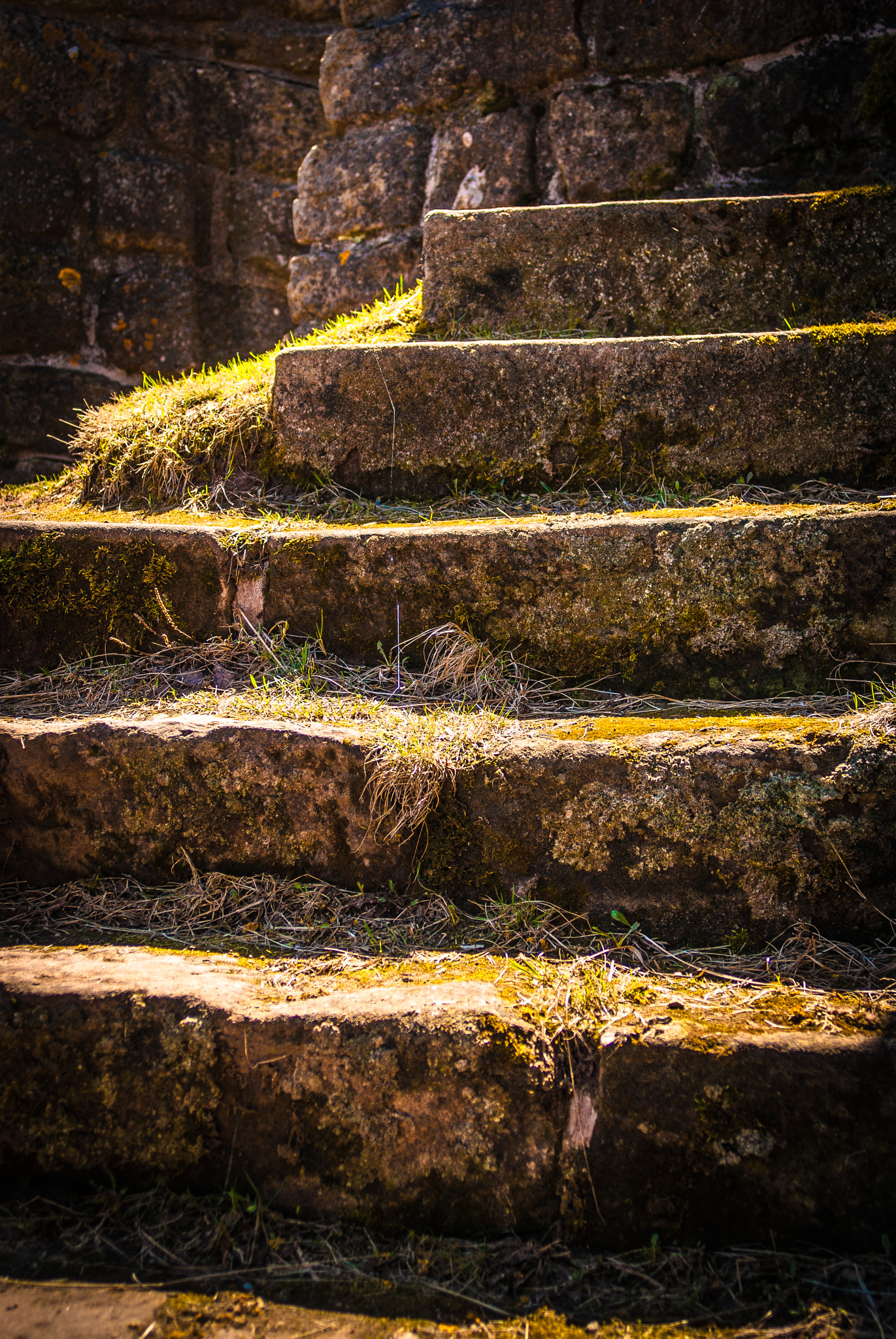 Sony Alpha DSLR-A330 sample photo. Stairway to heaven photography