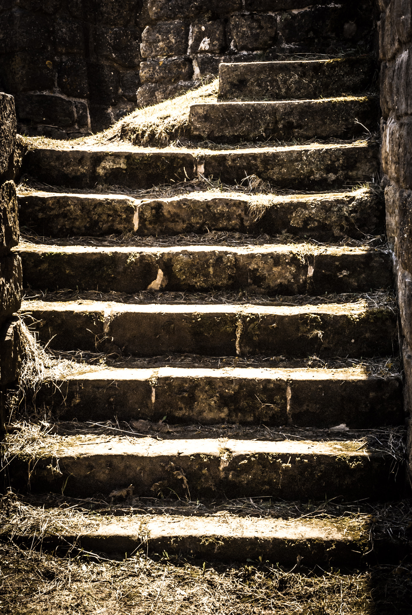 Sony Alpha DSLR-A330 sample photo. Stairway to heaven photography