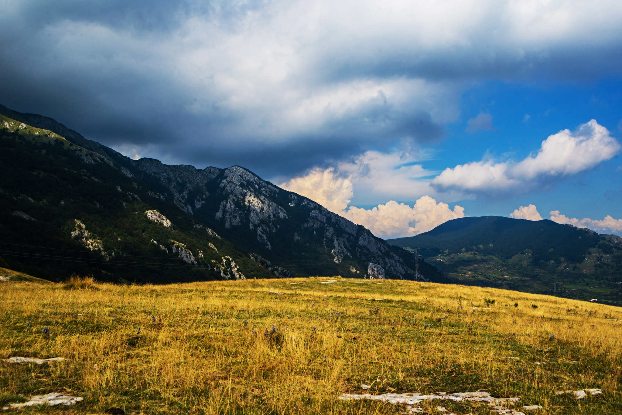Nikon D600 sample photo. Rocky mountain meadow photography