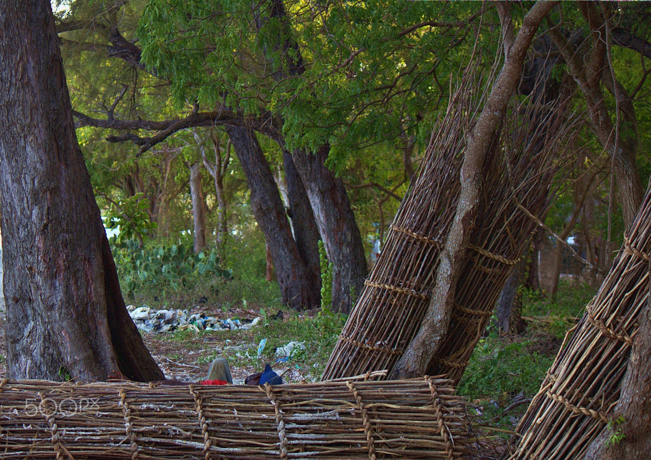 Canon EF-S 55-250mm F4-5.6 IS sample photo. Doing work 4 photography