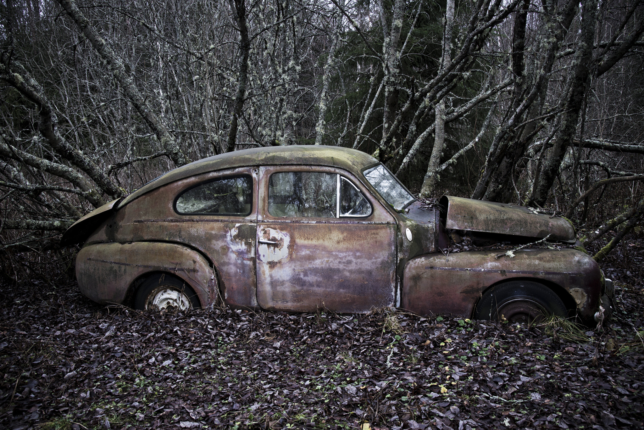 Nikon AF-S Nikkor 24-120mm F4G ED VR sample photo. Car #1 photography