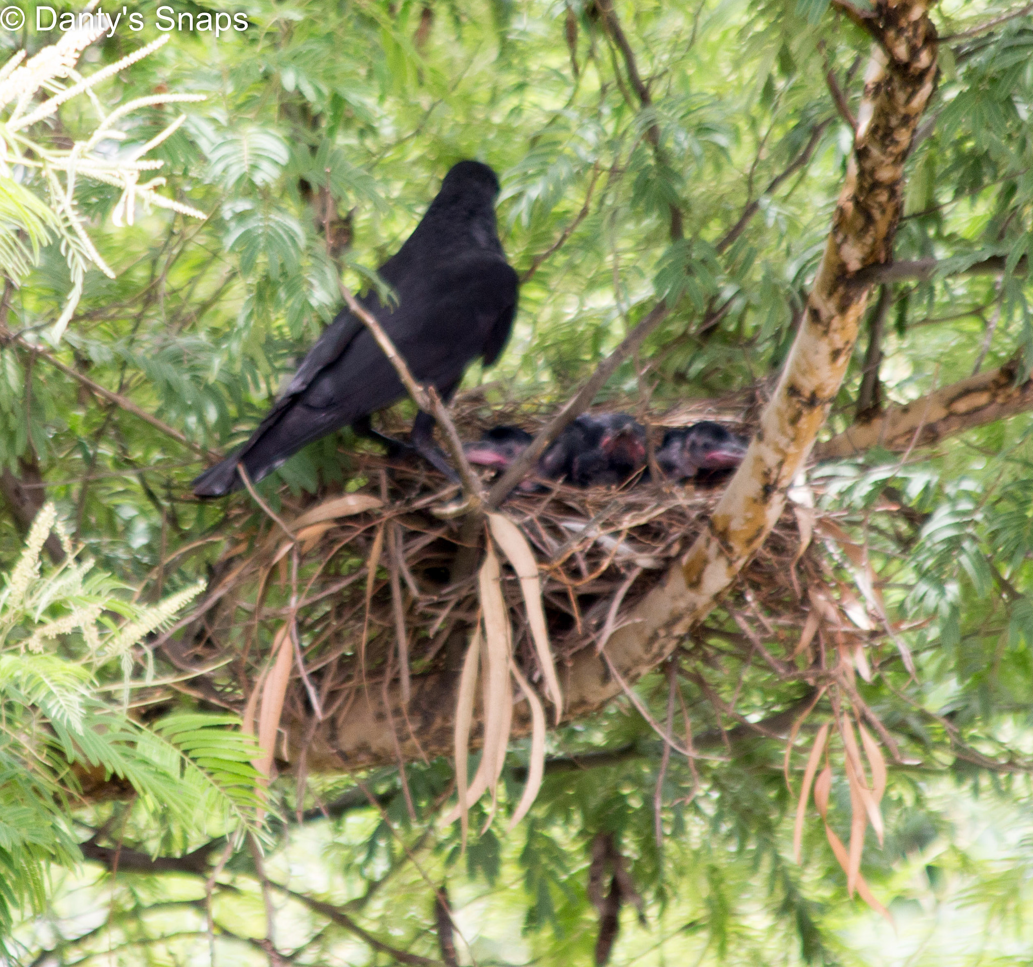 Canon EF 70-300mm F4-5.6 IS USM sample photo. Img photography