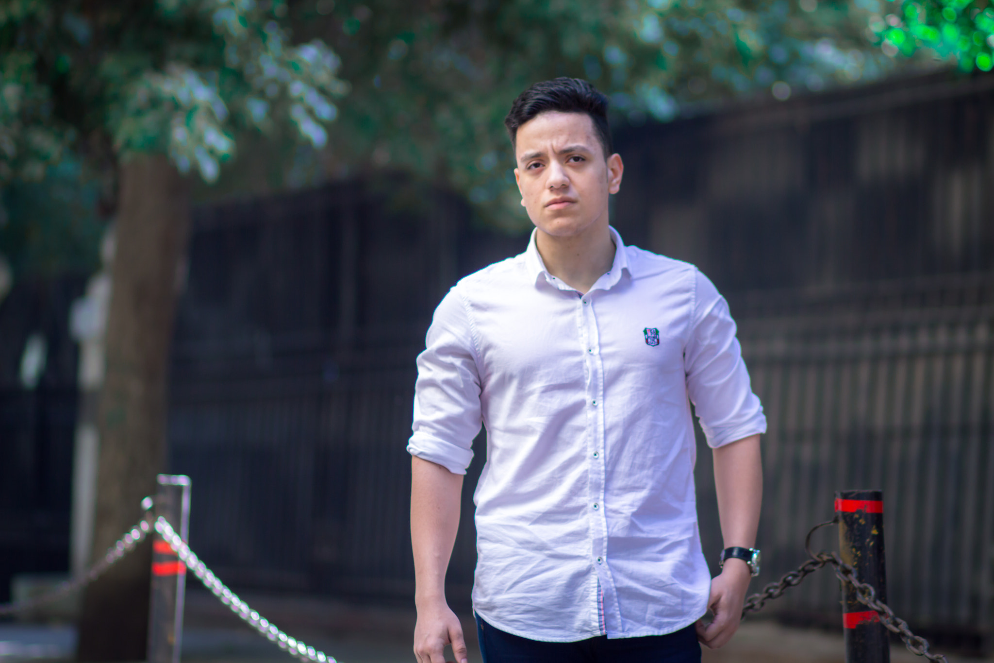 Canon EOS 7D + Canon EF 85mm F1.8 USM sample photo. Img photography