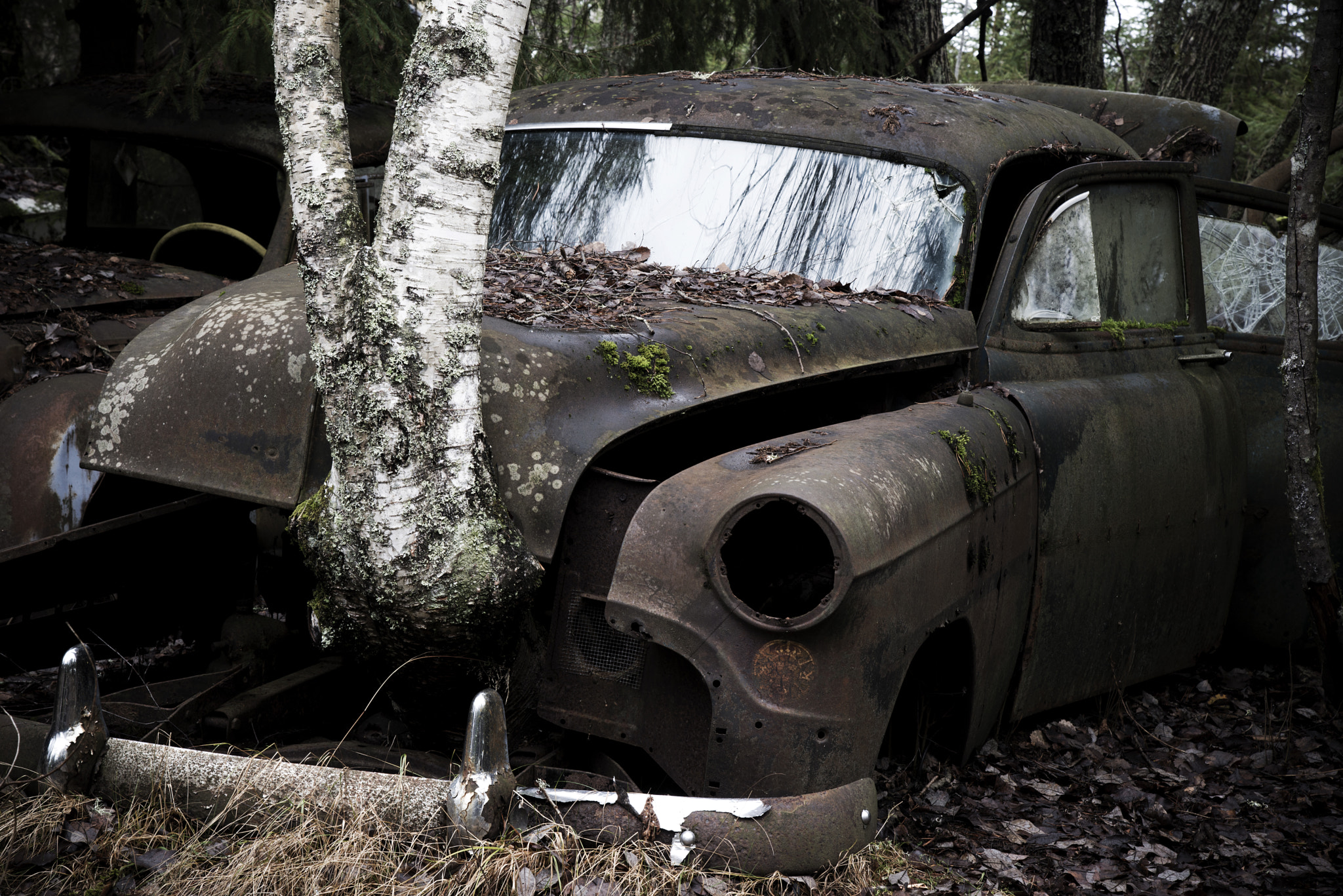 Nikon D600 sample photo. Car #2 photography