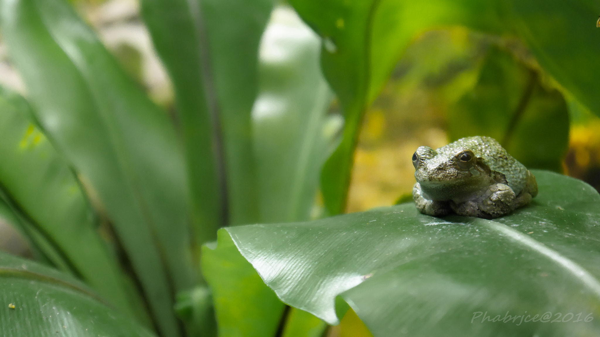Panasonic Lumix DMC-GX7 sample photo. Oceanario de lisboa photography