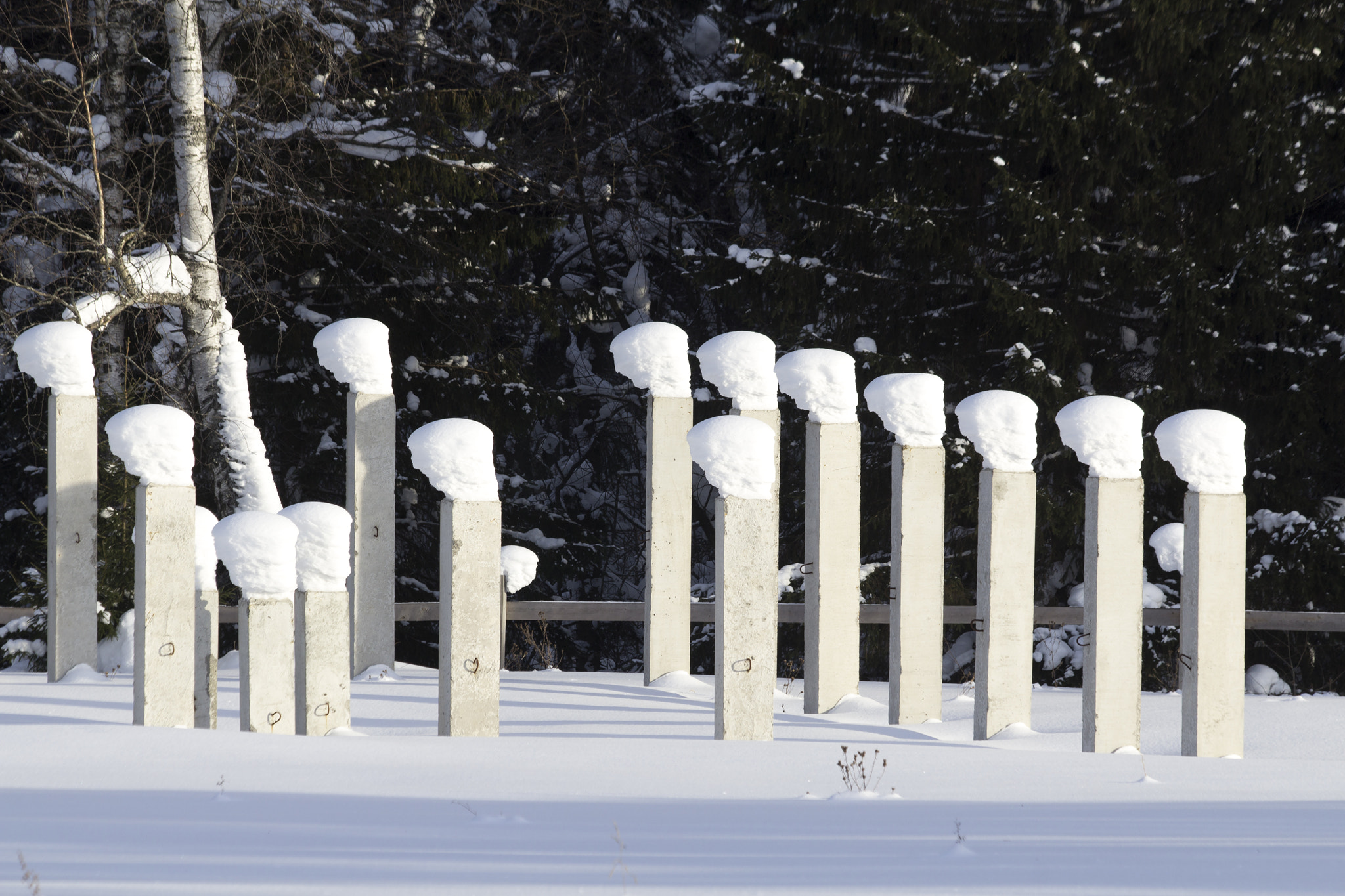 Canon EF 70-300mm F4-5.6 IS USM sample photo. *** photography