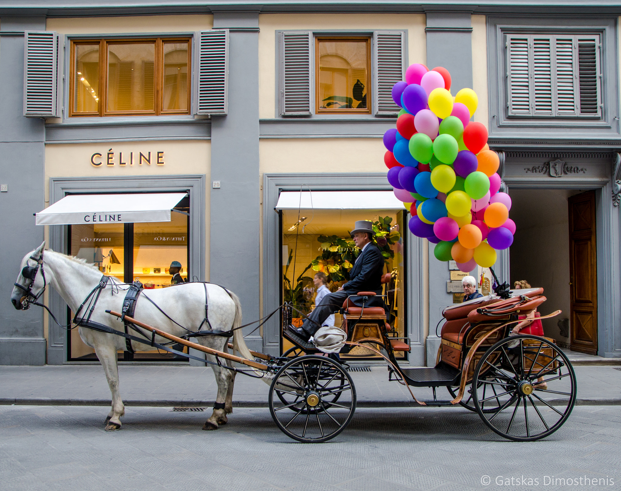 Sigma 17-70mm F2.8-4 DC Macro OS HSM sample photo. Colorful horse coach photography