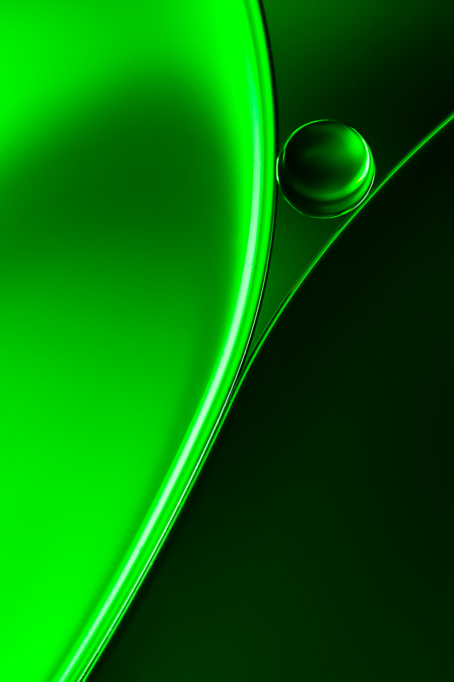 Canon EF 100mm F2.8L Macro IS USM sample photo. Green between photography