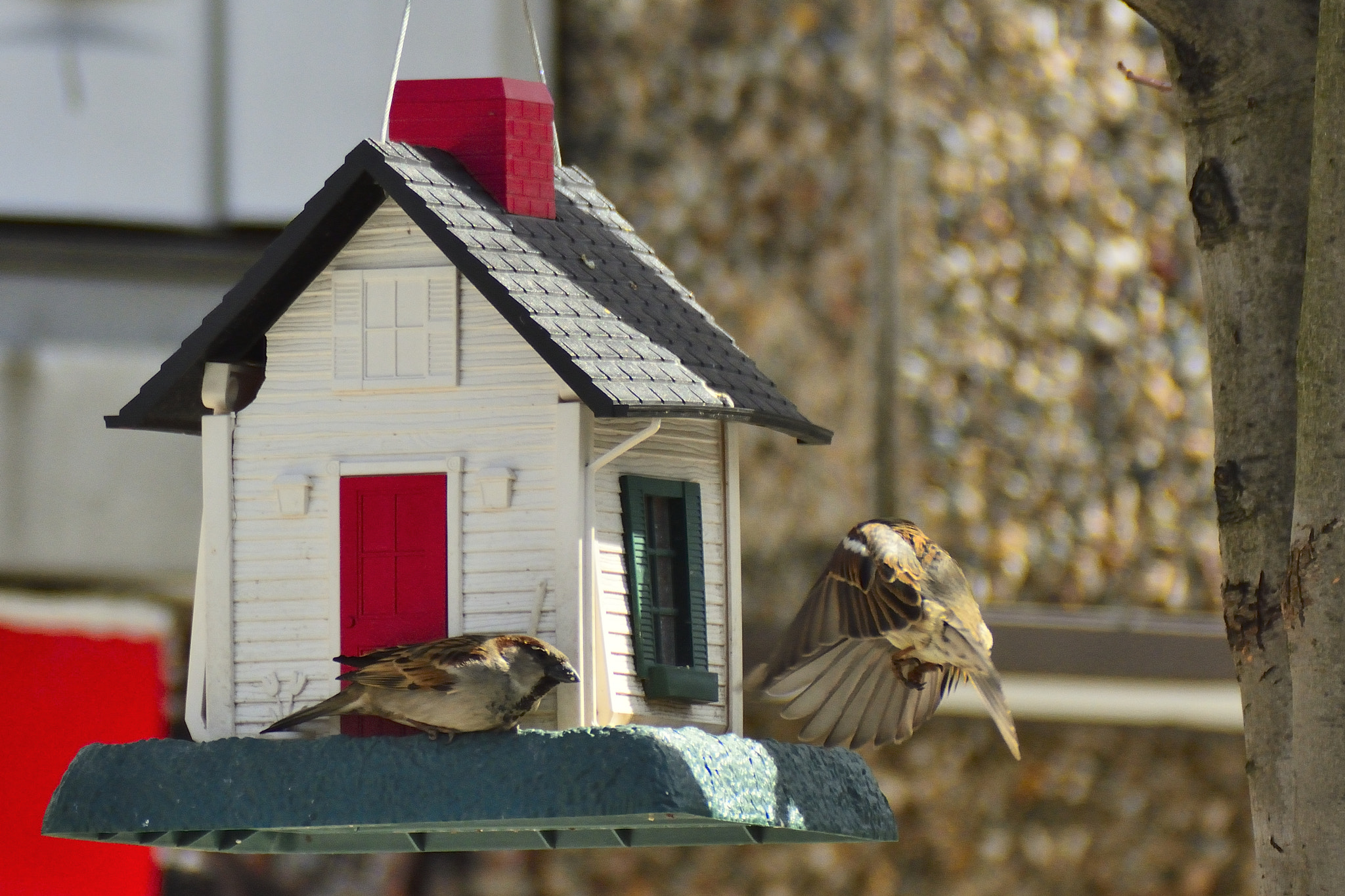 Nikon D7100 + Sigma APO 400mm F5.6 sample photo. Dsc photography