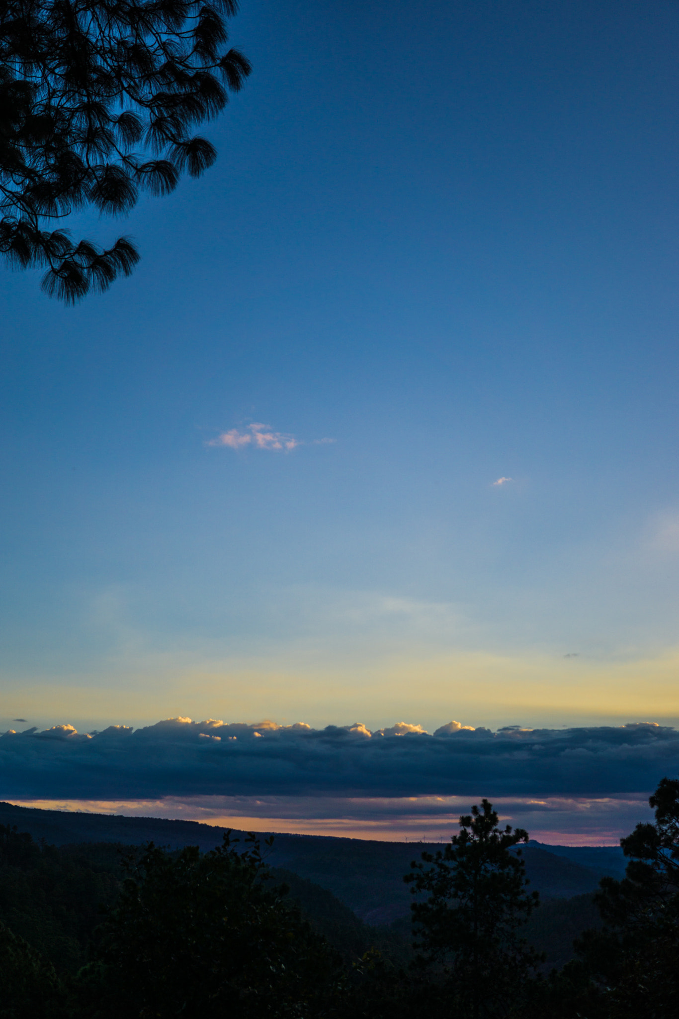 Sigma 30mm F2.8 EX DN sample photo. Honduras photography