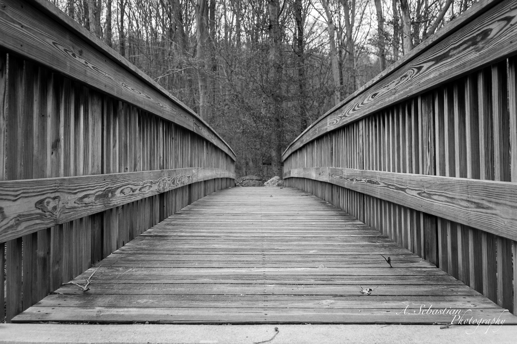 Sigma 18-250mm F3.5-6.3 DC OS HSM sample photo. Bridge in the woods photography