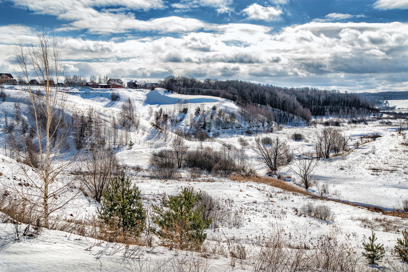 Nikon D800 sample photo. Winter spots photography