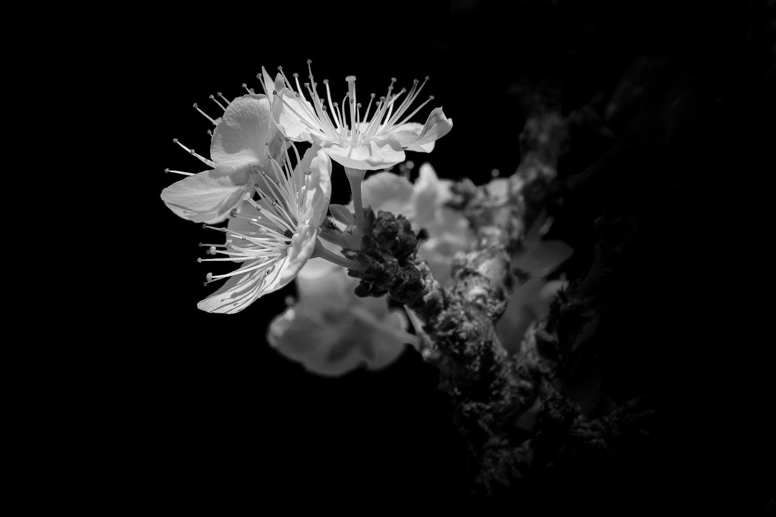 Pentax K-S1 sample photo. Life photography