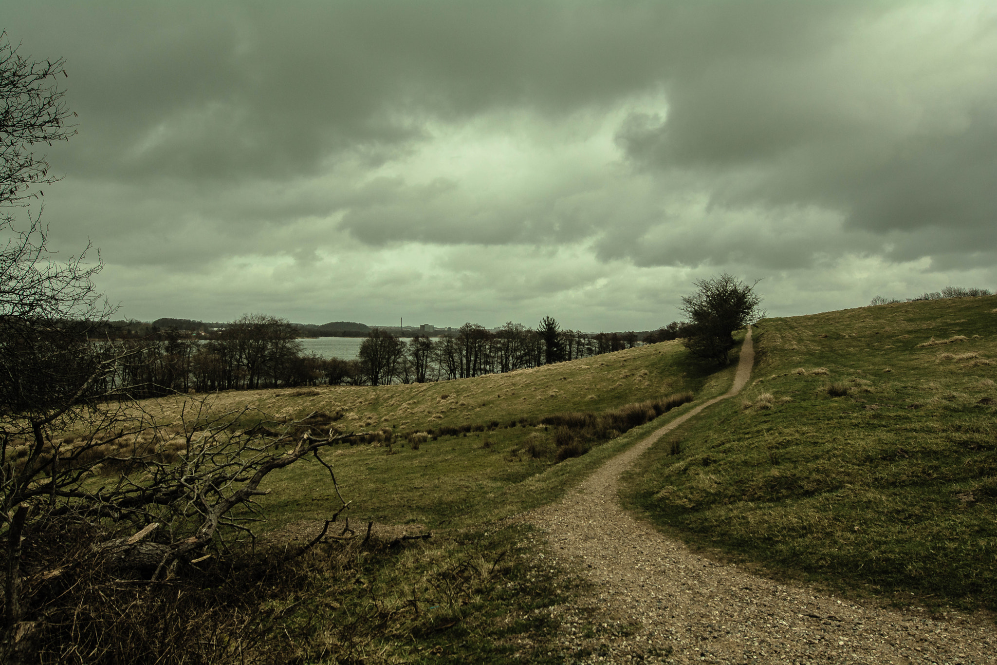 Nikon AF-S Nikkor 14-24mm F2.8G ED sample photo. South denmark photography