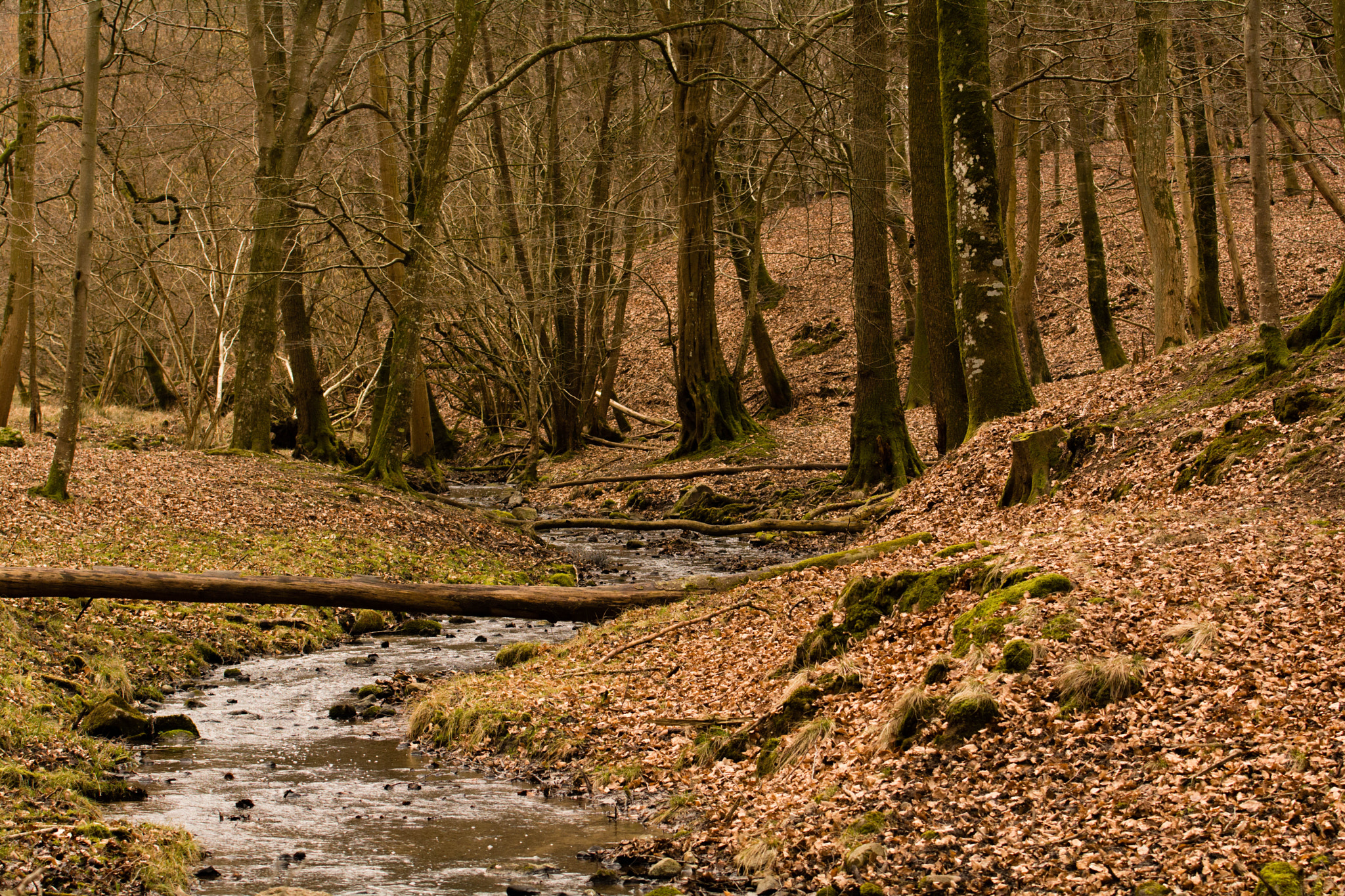 Nikon AF-S Nikkor 70-200mm F4G ED VR sample photo. South denmark photography