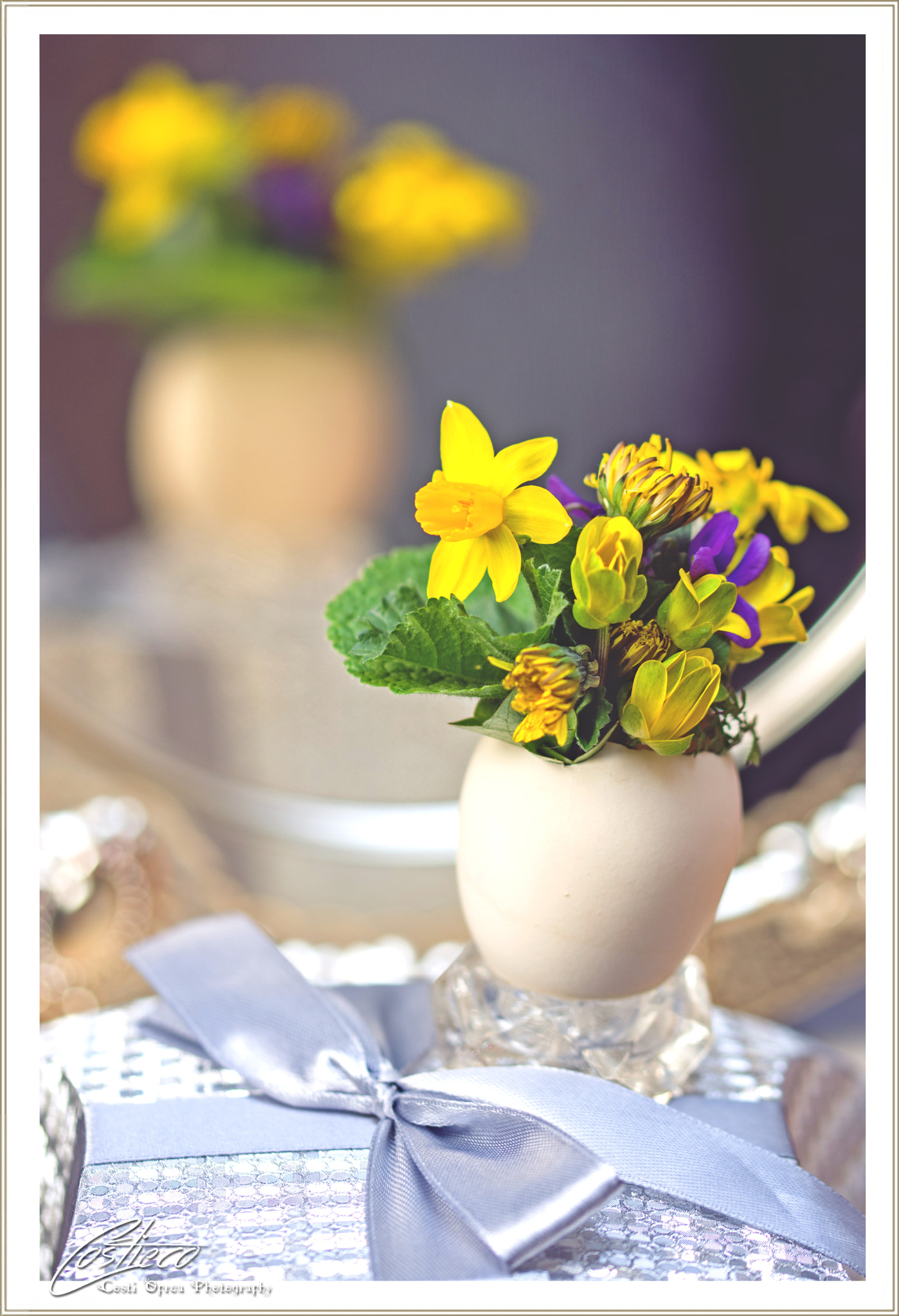 Sigma 105mm F2.8 EX DG OS HSM sample photo. Egg vase photography