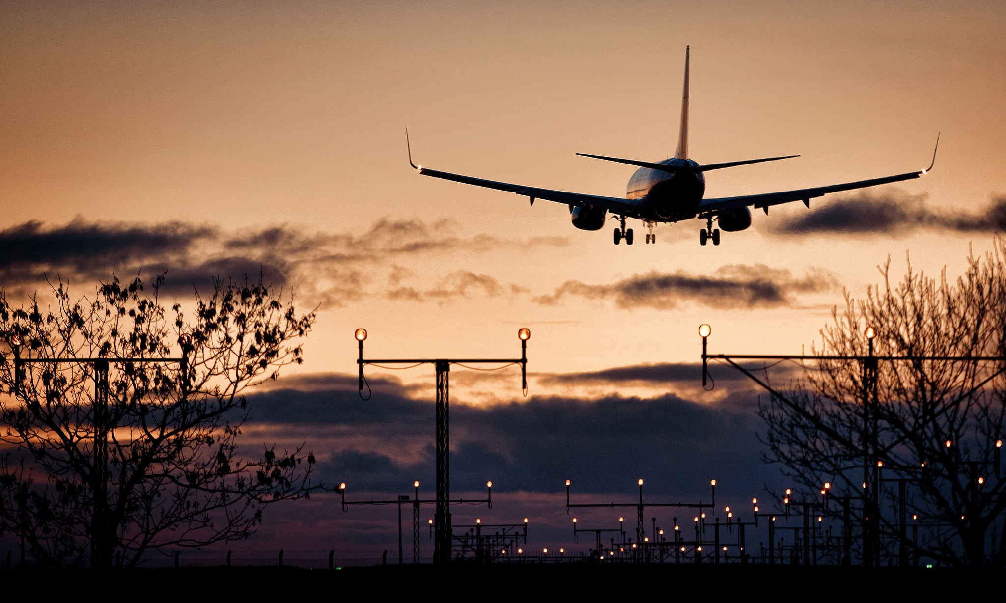 Canon EOS-1D X sample photo. Coming into land photography