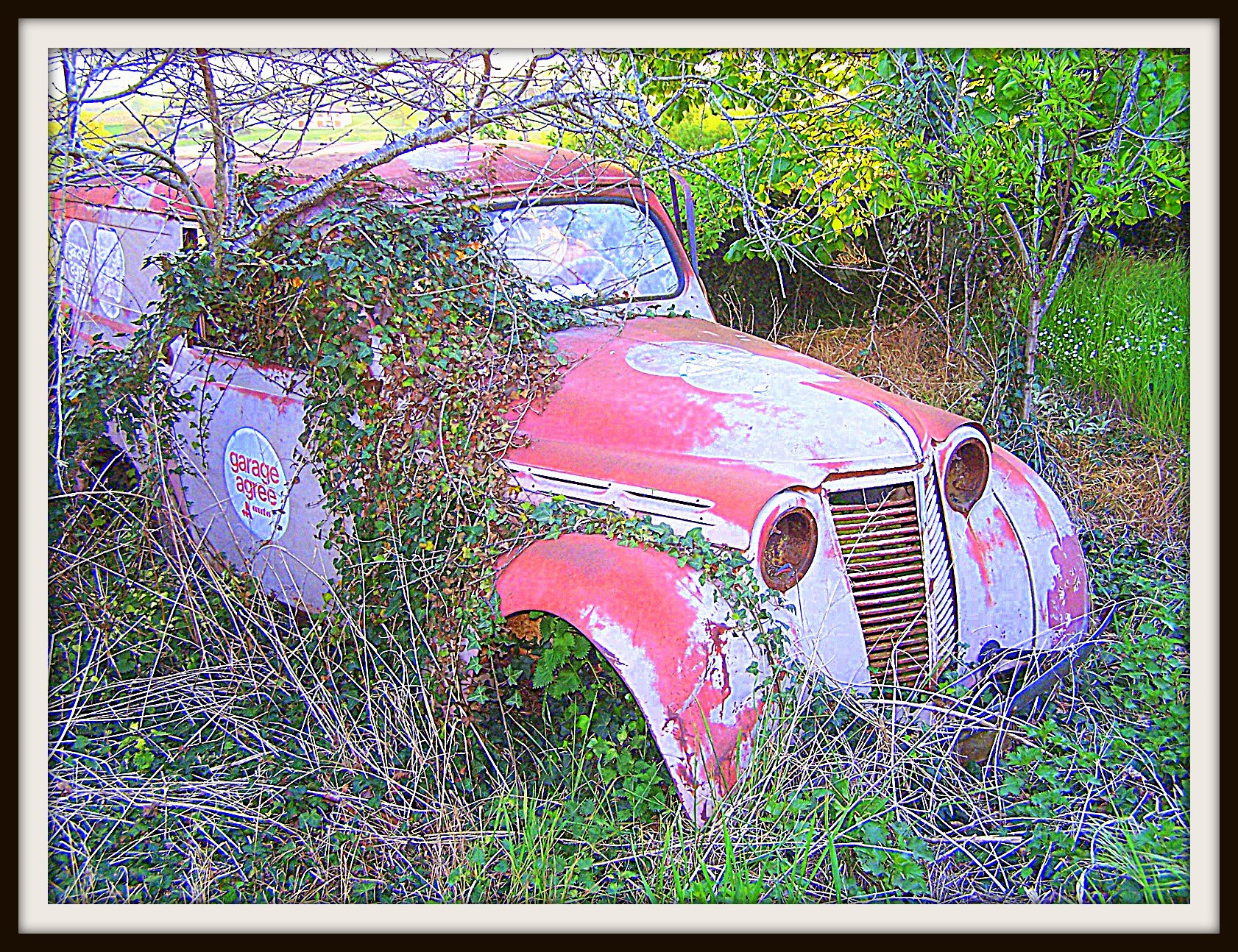 Kodak Z740 ZOOM DIGITAL CAMERA sample photo. Beaujolais photography