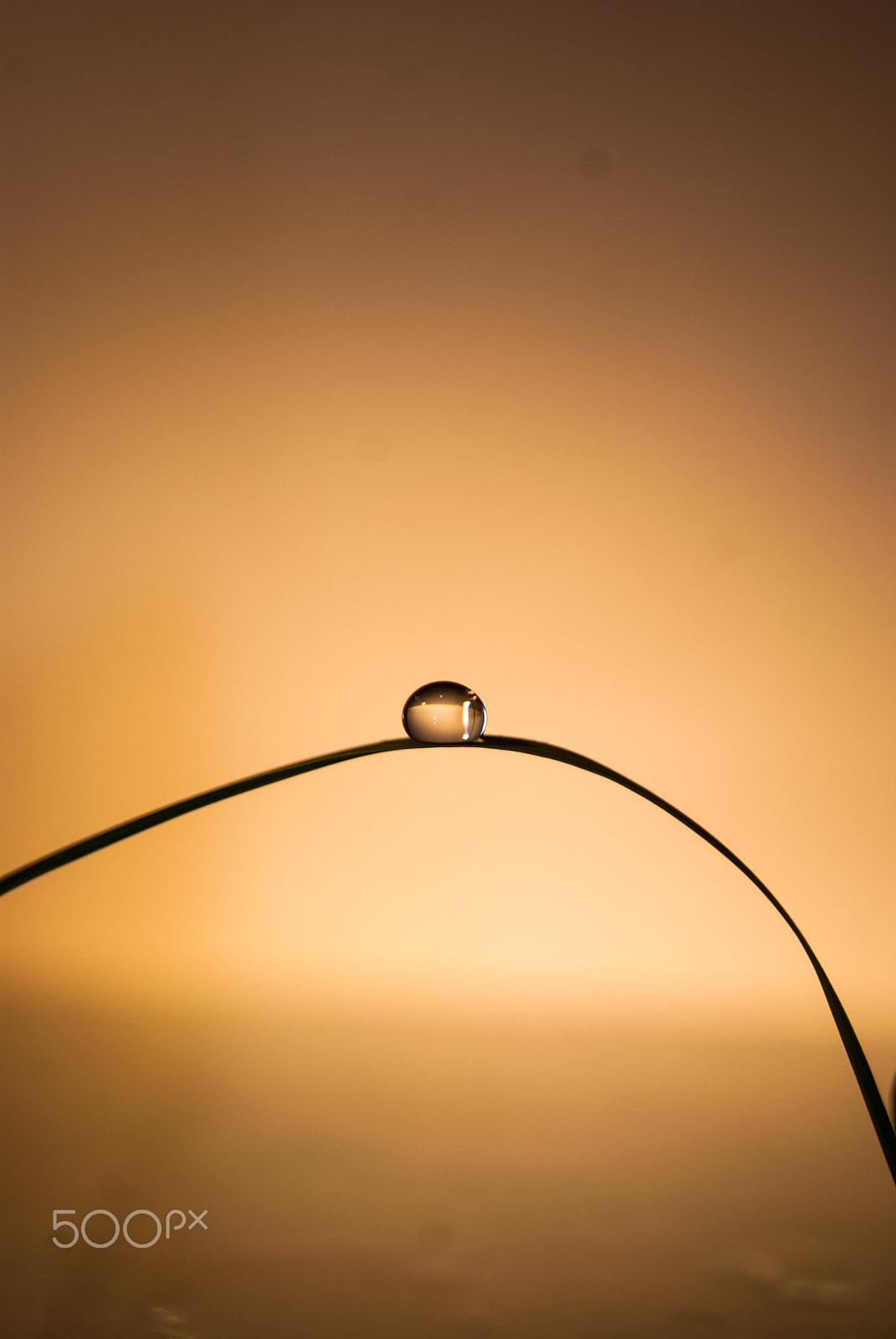 Sony Alpha DSLR-A230 + Sony DT 18-55mm F3.5-5.6 SAM sample photo. Watch the sunrise photography