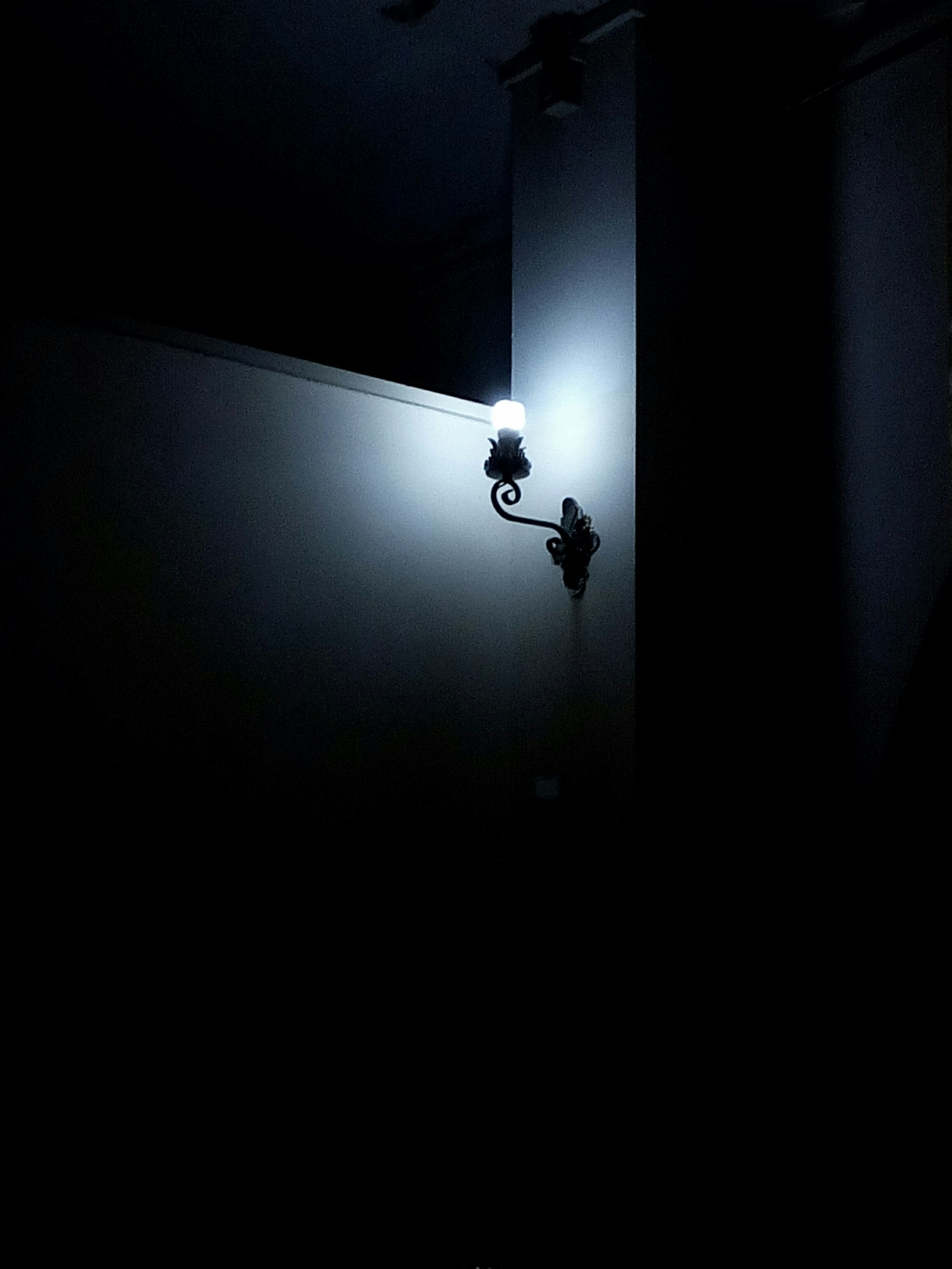 WIKO LENNY3 sample photo. The idea photography