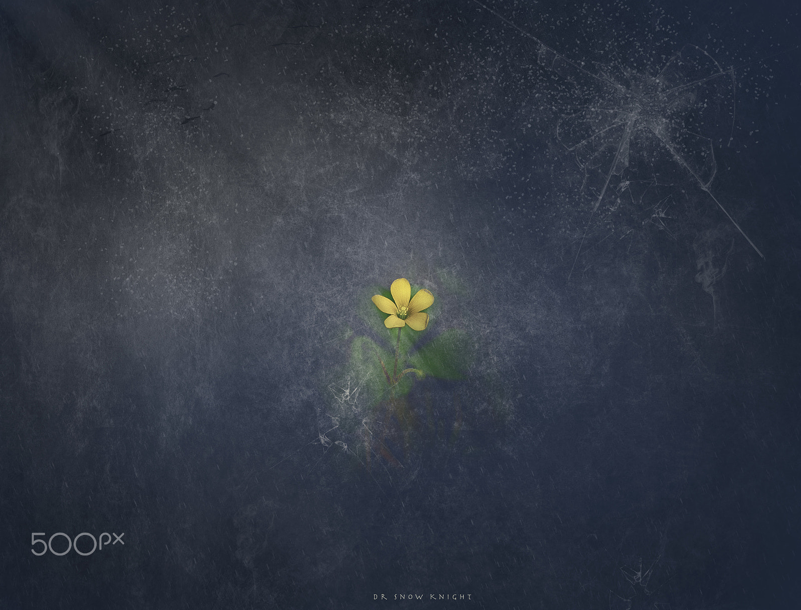 Nikon D5500 sample photo. The time of healing of the wounds is coming photography