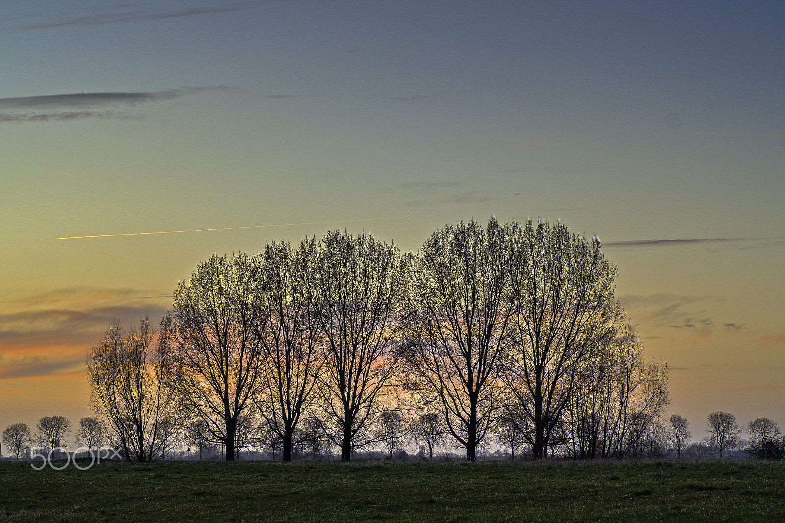 Olympus OM-D E-M10 sample photo. Double silhouette photography