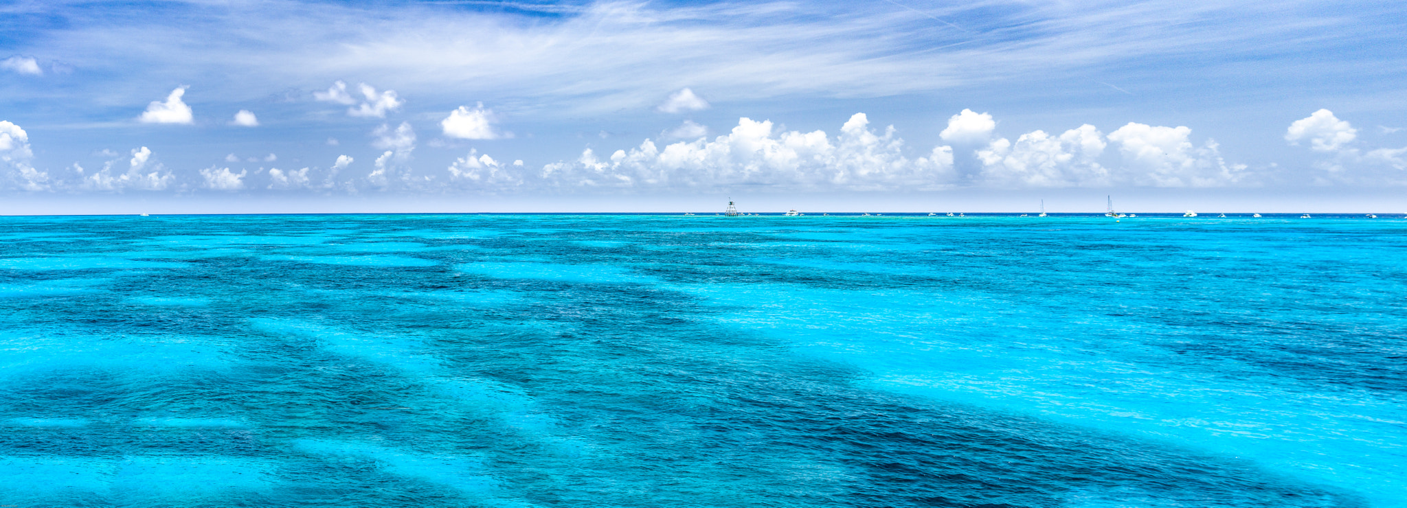 A Series Lens sample photo. Coral dream photography