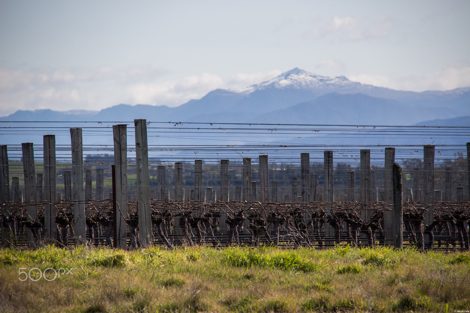 Canon EF-S 18-200mm F3.5-5.6 IS sample photo. Vineyard photography
