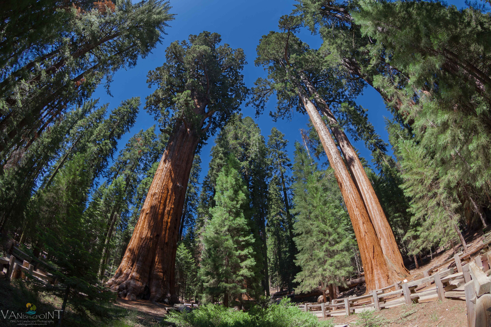 Canon EF 8-15mm F4L Fisheye USM sample photo. Twin towers photography