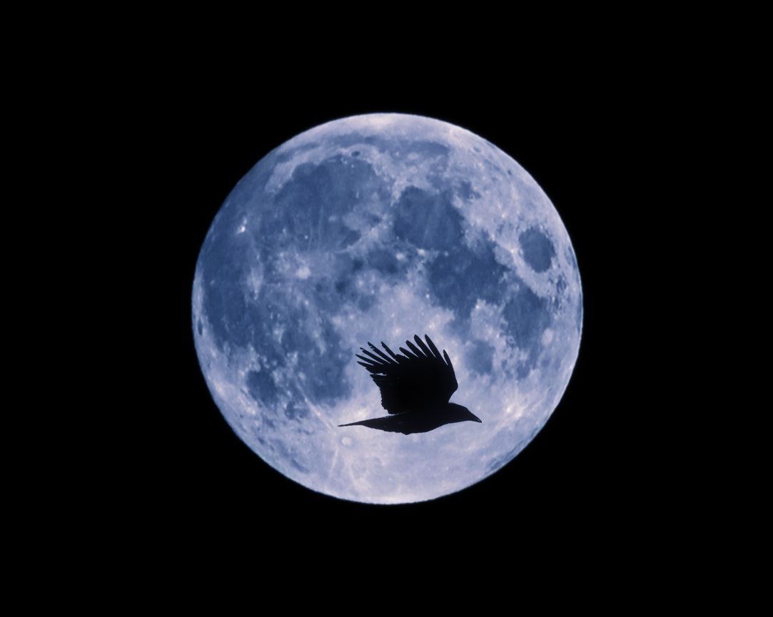 Sony 75-300mm F4.5-5.6 sample photo. Embrace the night photography