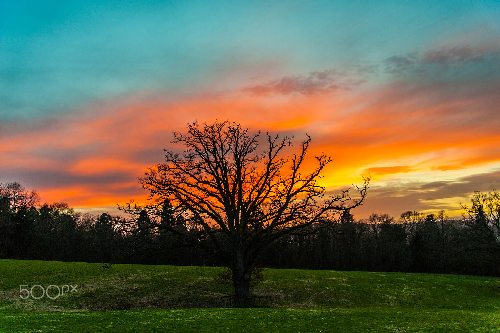 Nikon D700 sample photo. Sundown photography