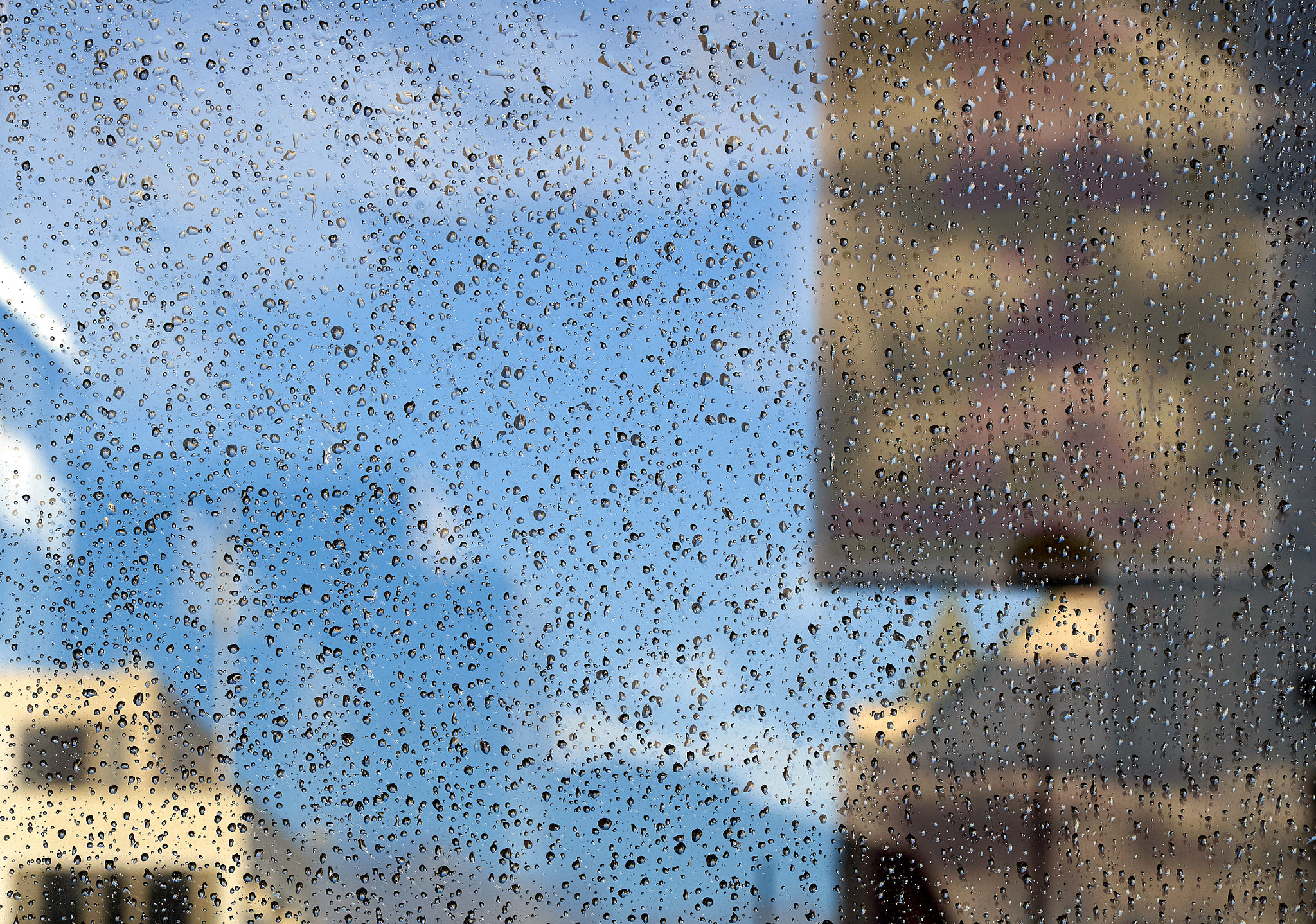 Olympus OM-D E-M5 sample photo. After rain photography