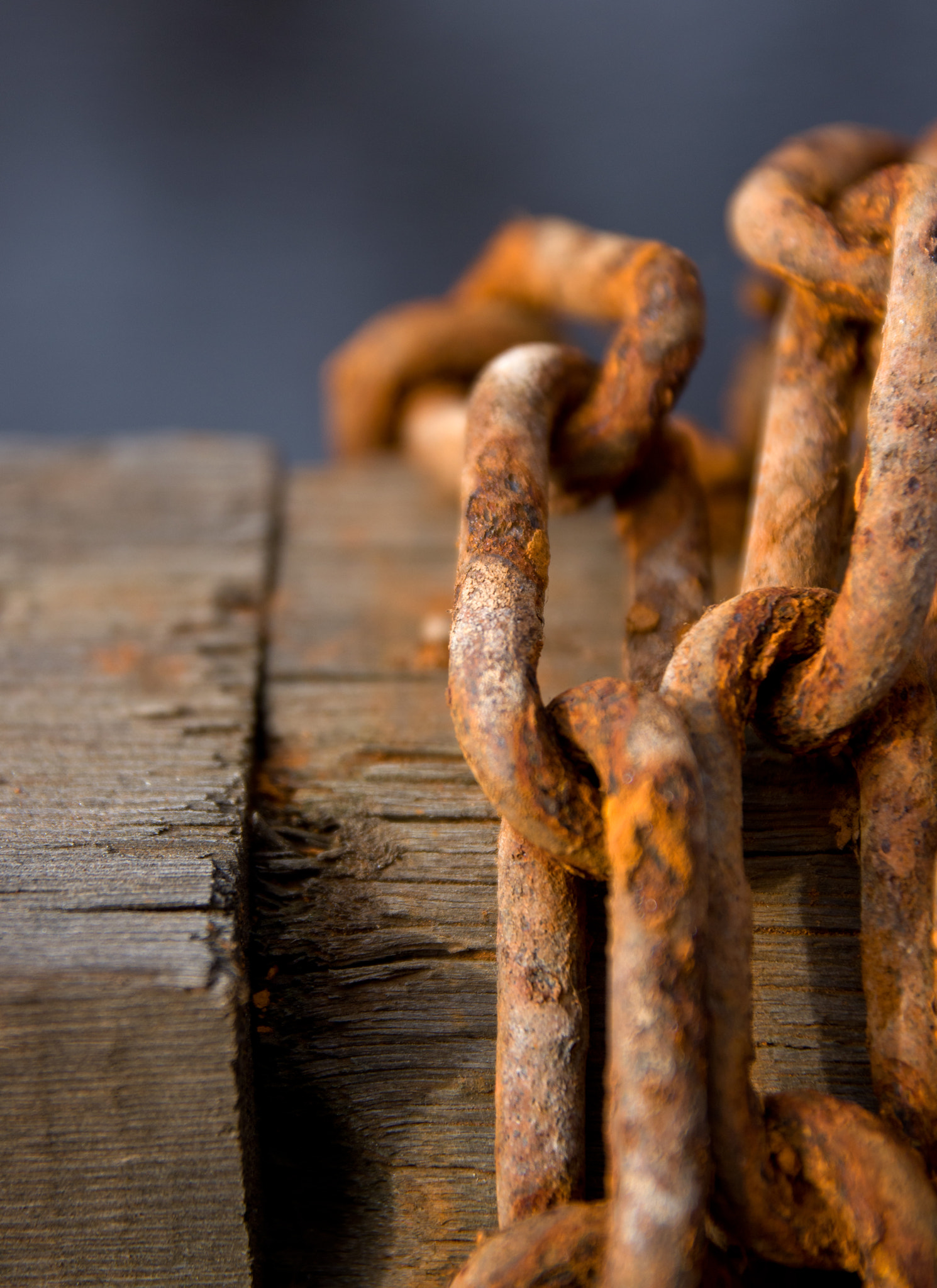 Sigma 17-70mm F2.8-4 DC Macro HSM | C sample photo. Rusty chain photography