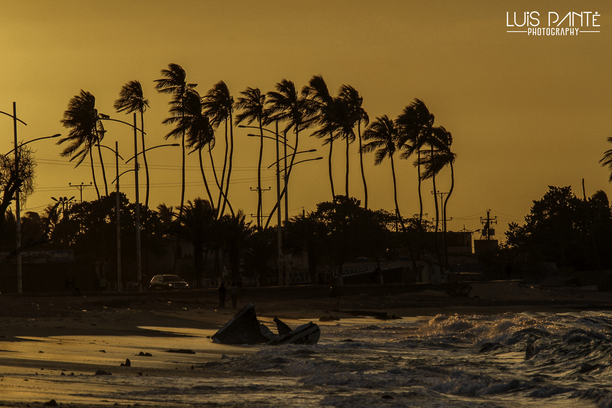 Canon EF-S 55-250mm F4-5.6 IS sample photo. Golden view photography