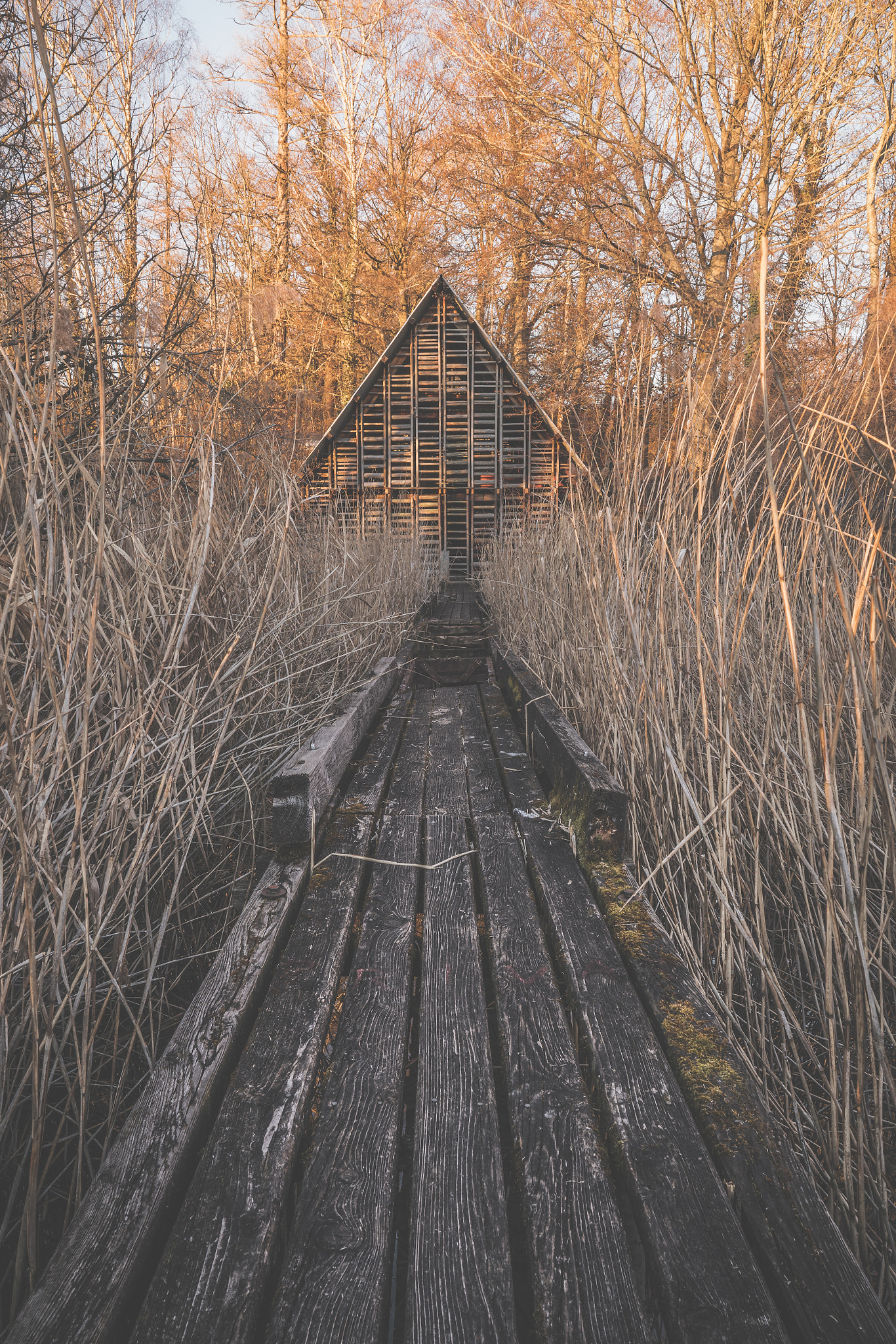 ZEISS Batis 18mm F2.8 sample photo. Old fishing hut photography