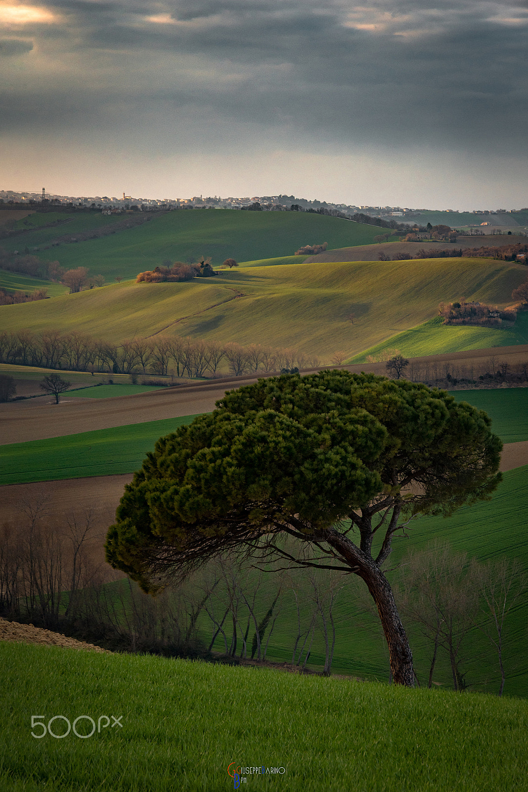 Nikon D750 + Sigma 24-105mm F4 DG OS HSM Art sample photo. The lonely photography