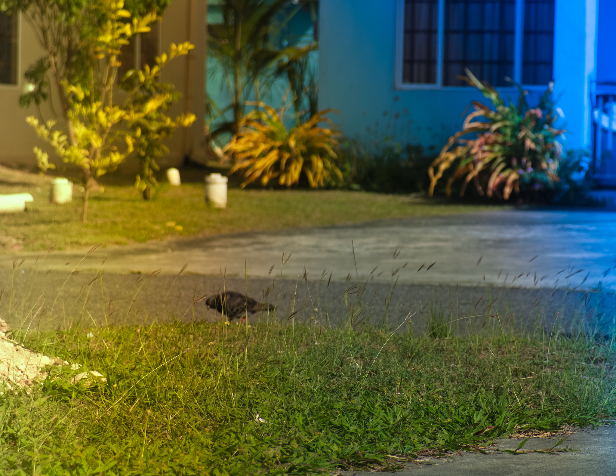 Canon EF 28-105mm f/3.5-4.5 USM sample photo. Img photography