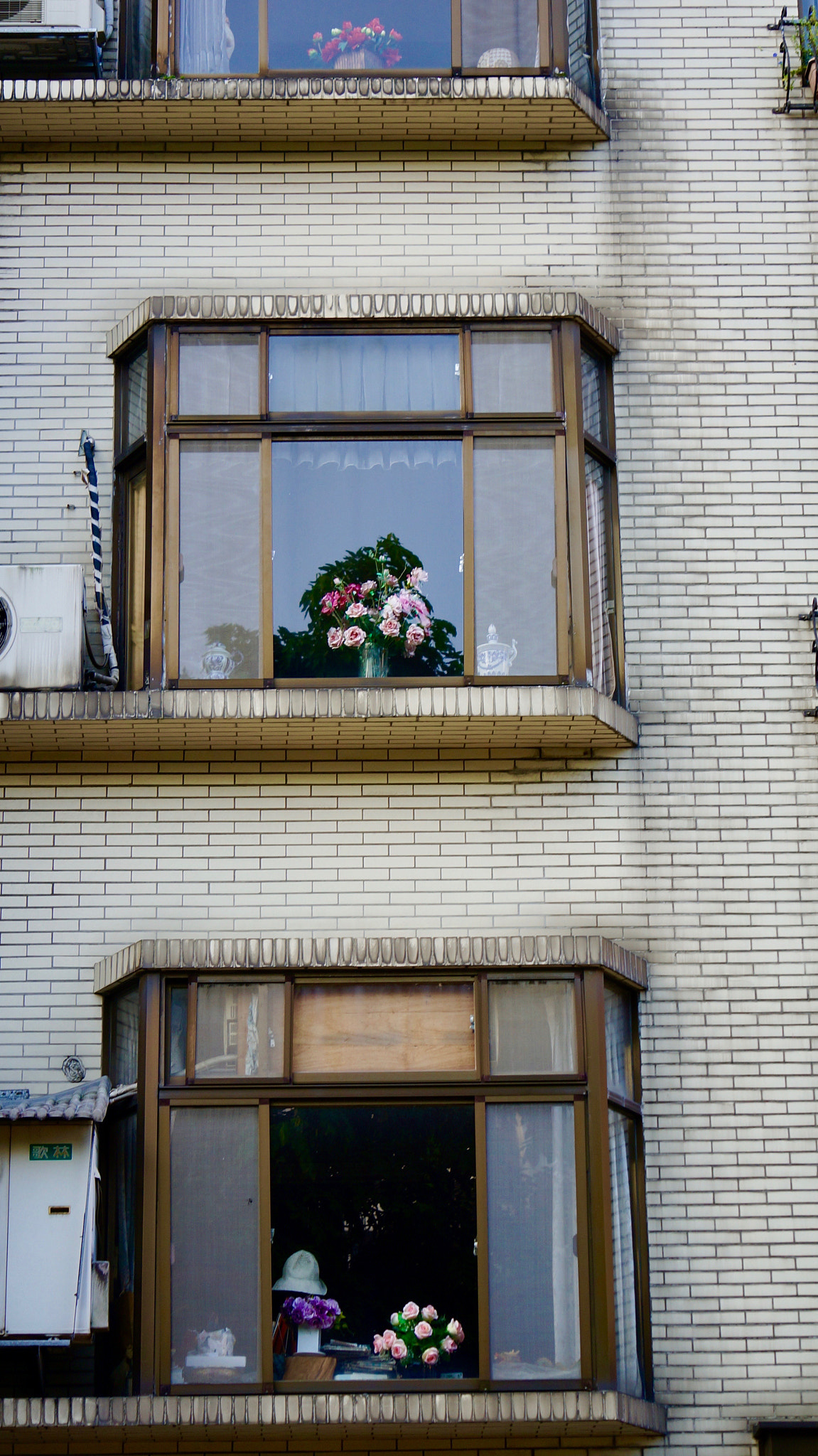 Sony E 55-210mm F4.5-6.3 OSS sample photo. Window flowers photography