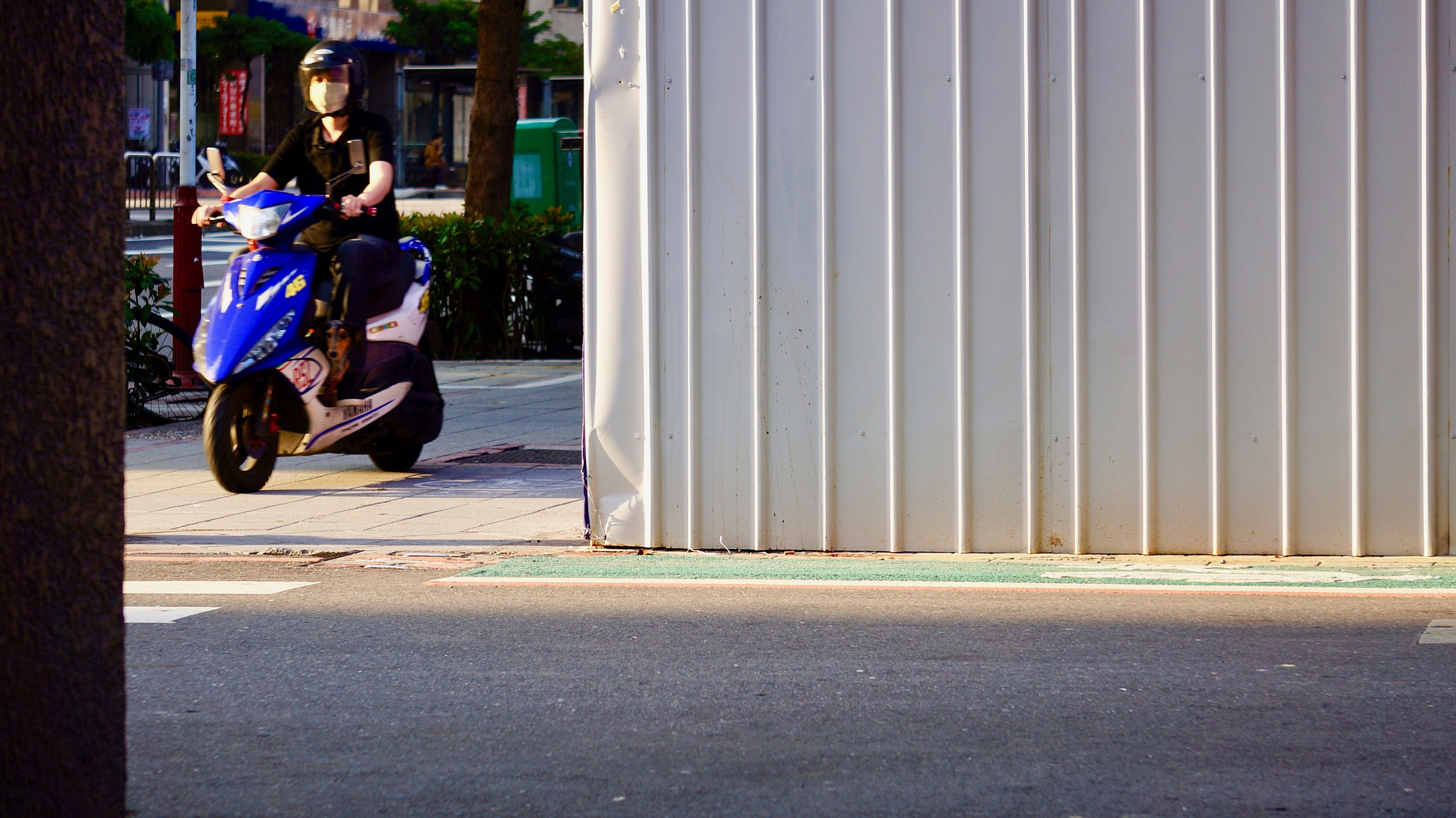 Sony E 55-210mm F4.5-6.3 OSS sample photo. Morning cyclist photography