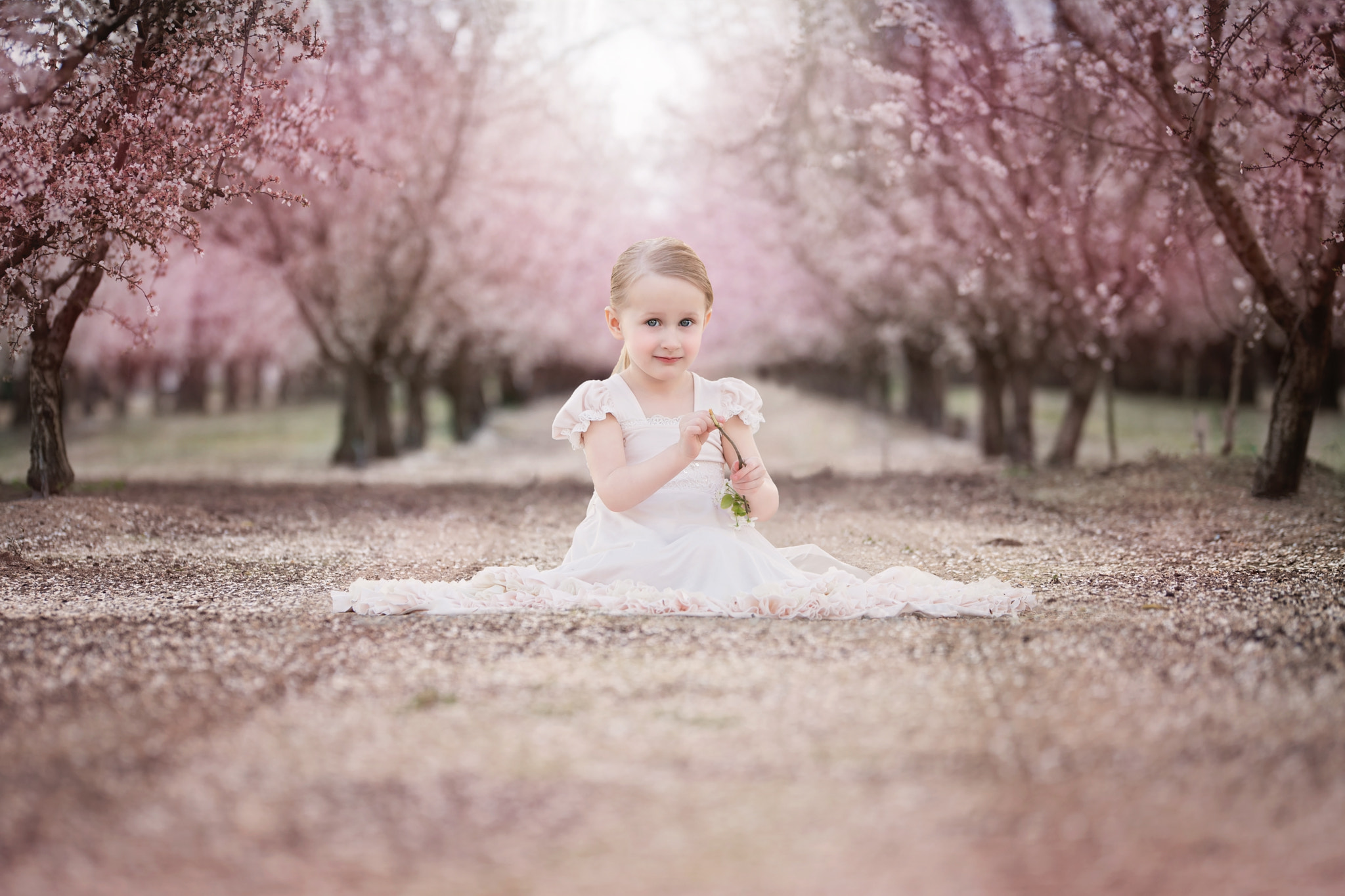 Nikon D810 sample photo. Spring dreams photography