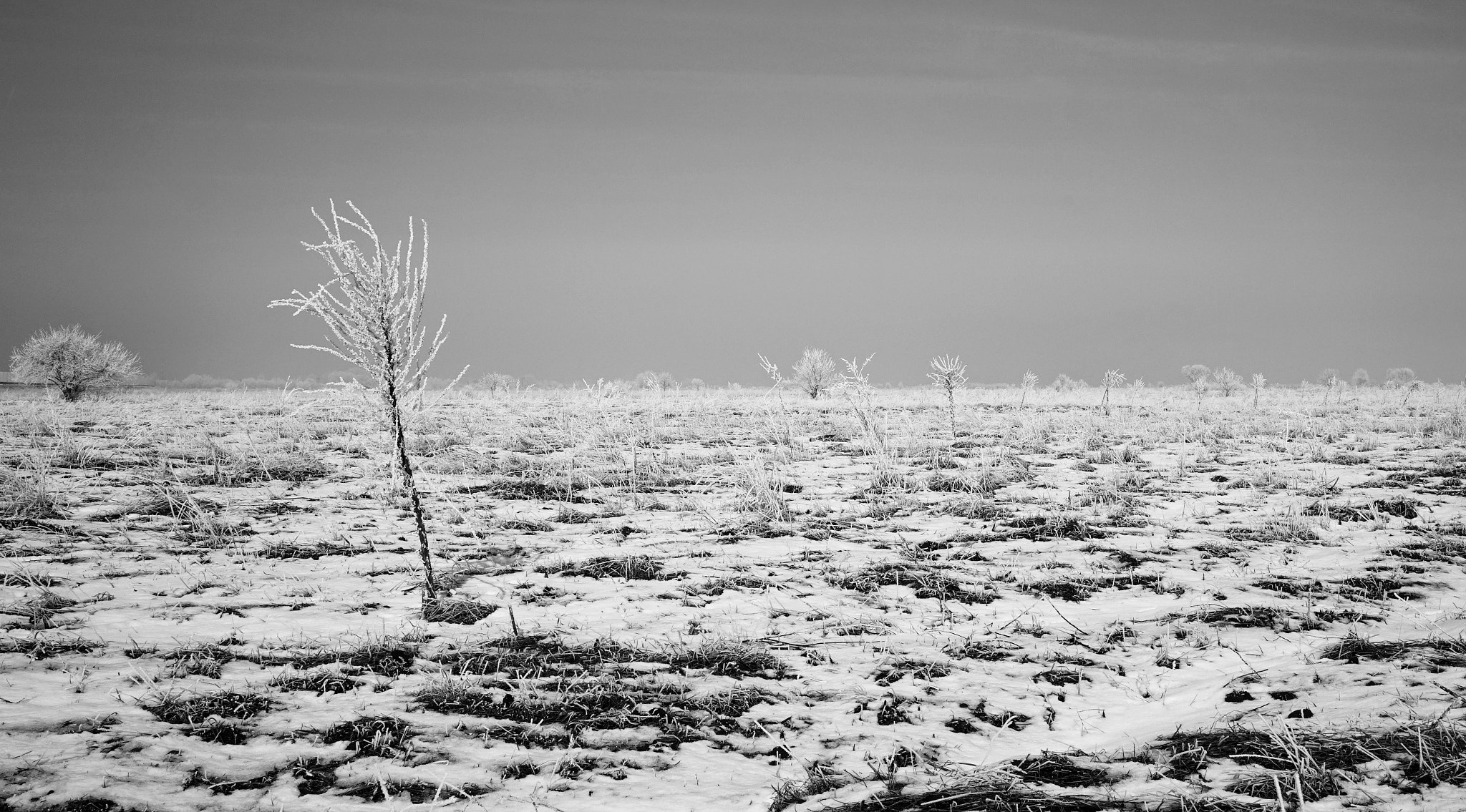 Sony a7 + Sony Sonnar T* FE 35mm F2.8 ZA sample photo. Frozen photography