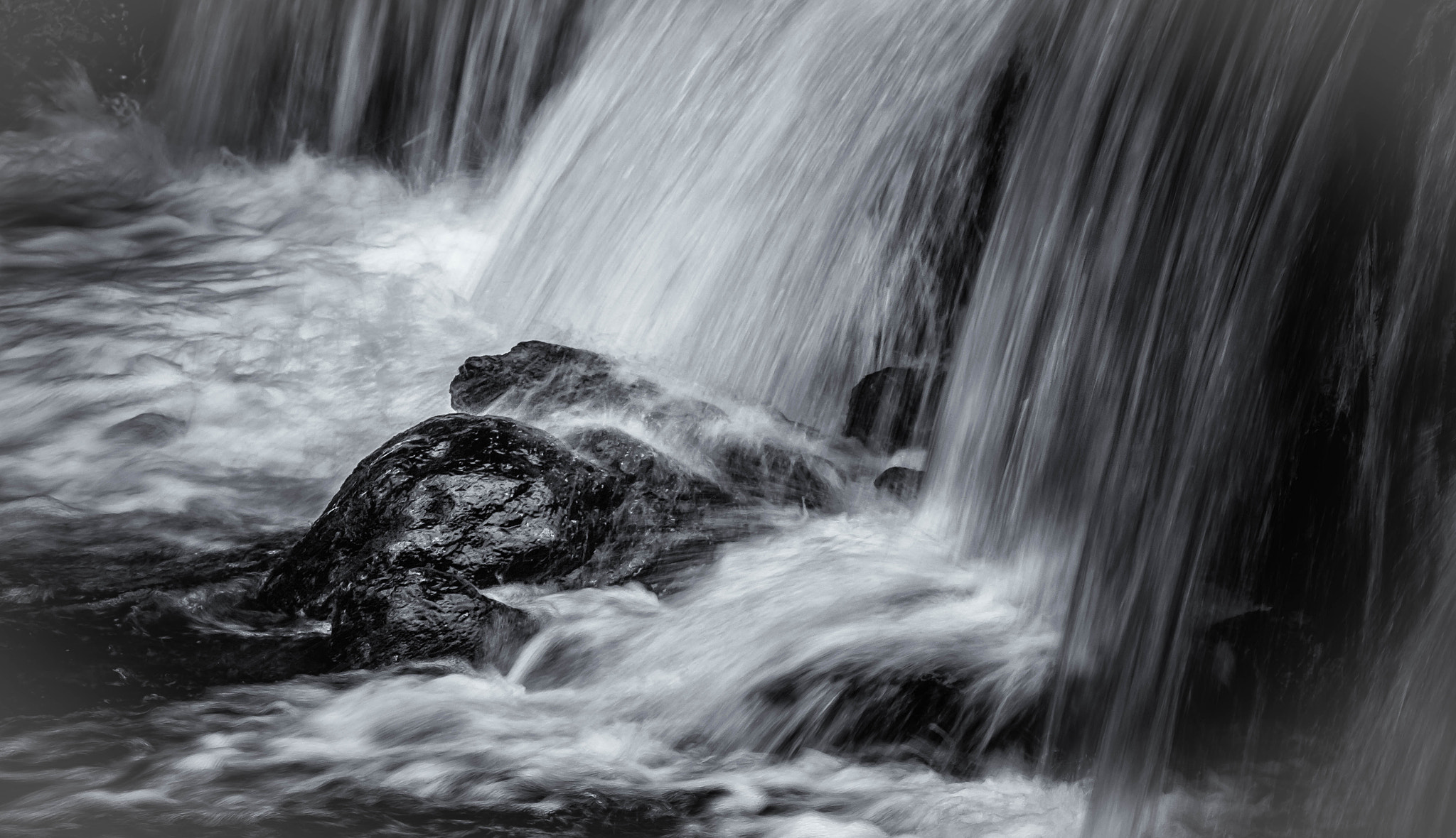 Sigma 105mm F2.8 EX DG OS HSM sample photo. What a swirl ! photography