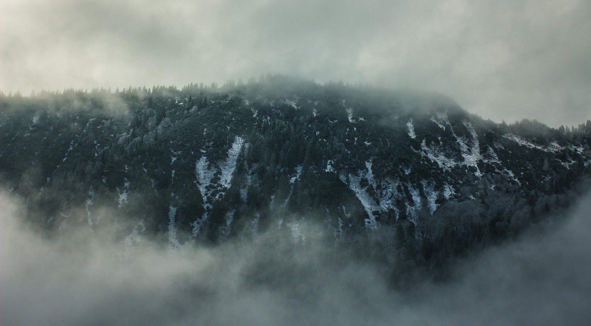 Canon EF 35-80mm f/4-5.6 sample photo. Hirschberg photography