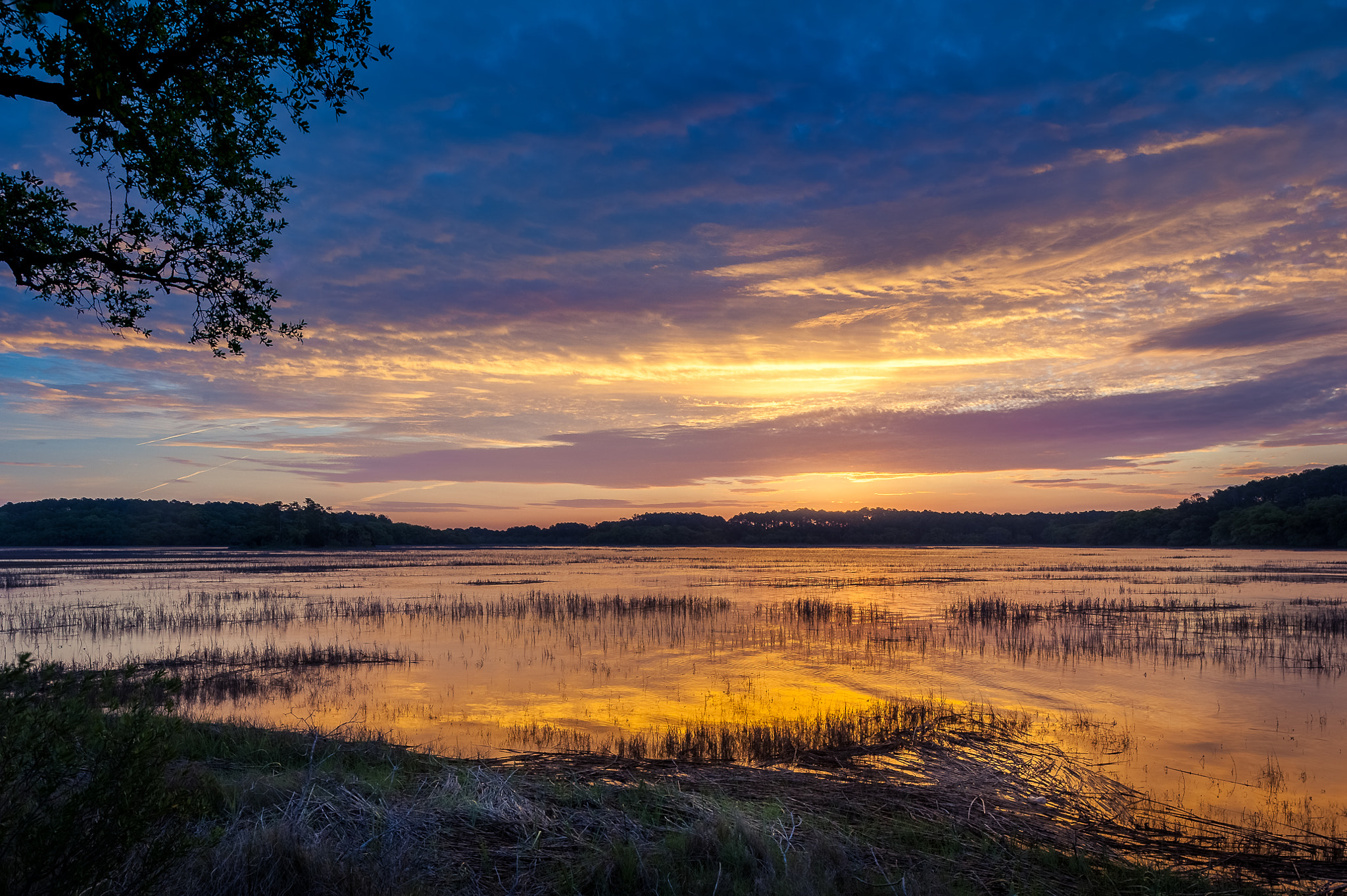 Nikon D700 + Nikon PC-E Nikkor 24mm F3.5D ED Tilt-Shift sample photo. Sunrise hilton head photography