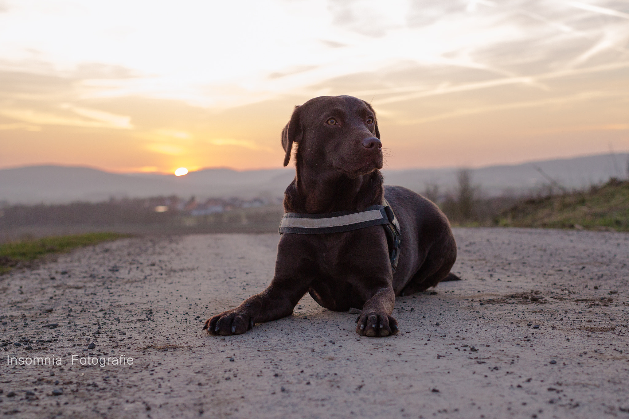 Canon EOS 600D (Rebel EOS T3i / EOS Kiss X5) sample photo. Amy mit sonnenuntergang photography