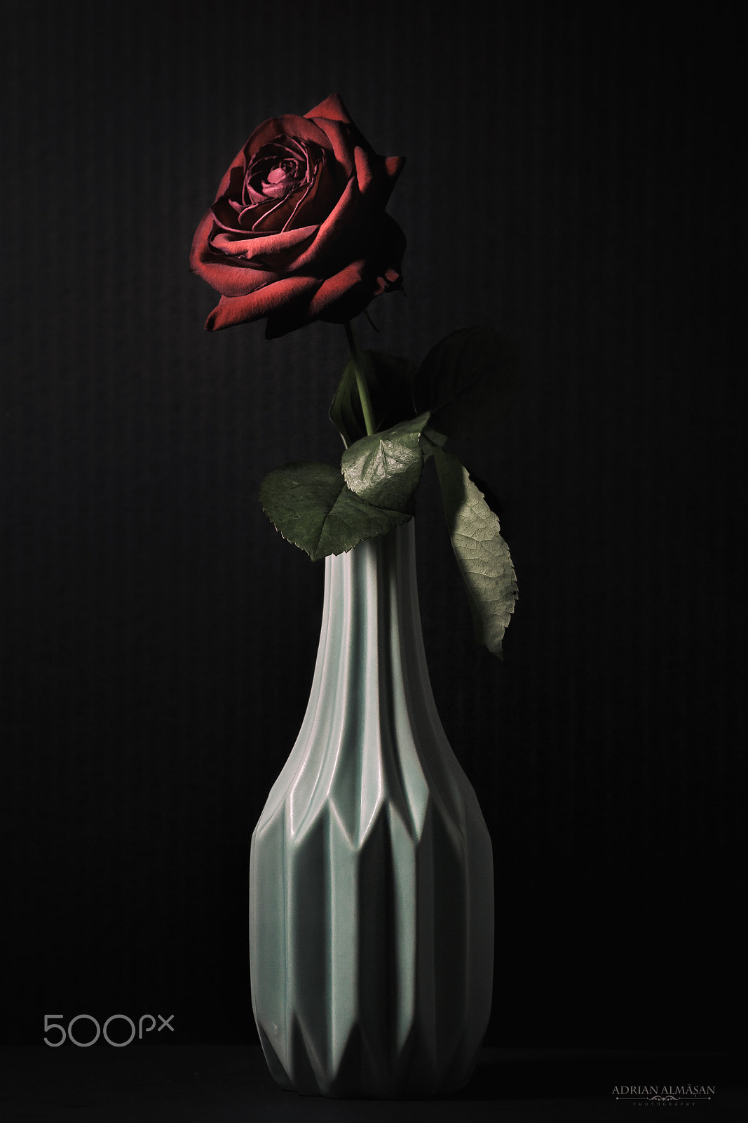 Canon EOS 6D + Tamron SP 70-300mm F4-5.6 Di VC USD sample photo. "rose of love" photography