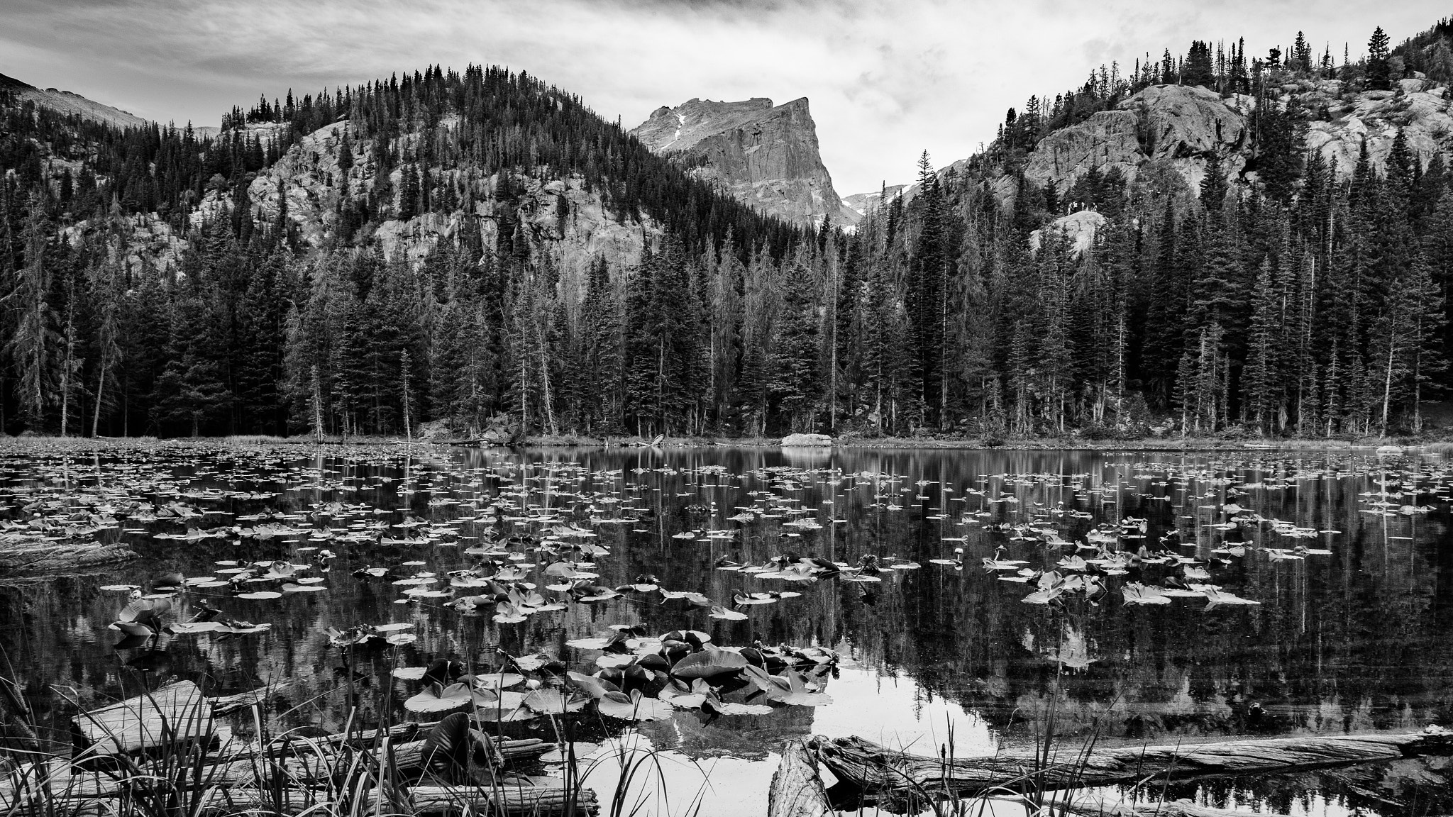Nikon D810 sample photo. Nymph lake rocky mountain national park photography