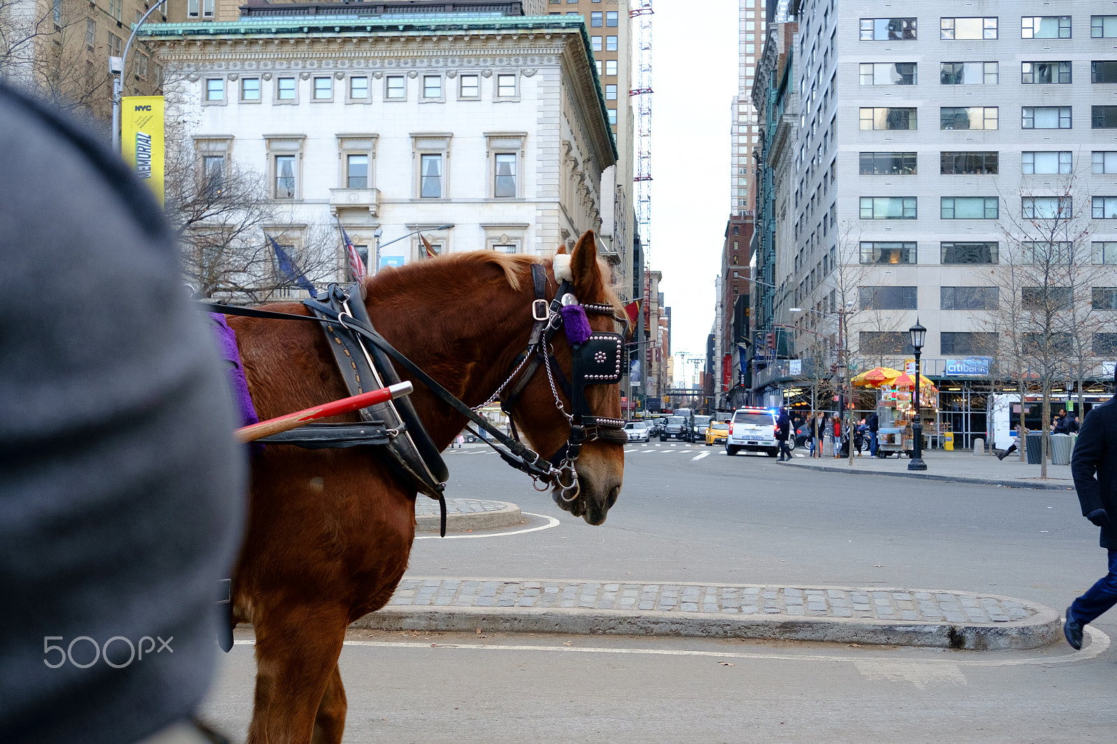 Fujifilm X-E1 + Fujifilm XF 27mm F2.8 sample photo. Central park horse ride photography