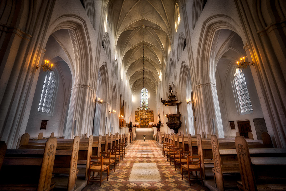 Sony a6000 + Sony E 10-18mm F4 OSS sample photo. The cathedral in odense photography